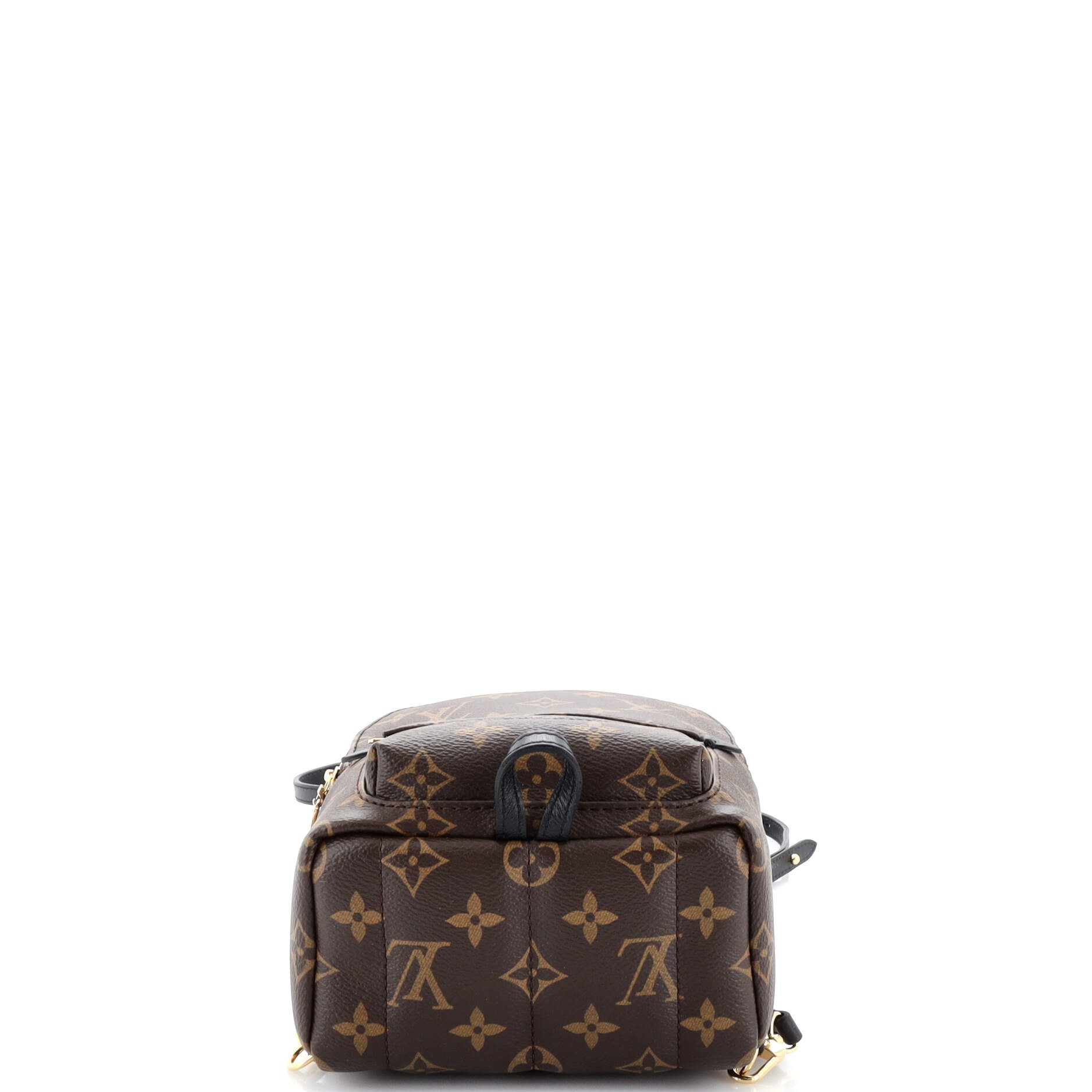 Palm Springs Backpack Monogram Canvas Mini
