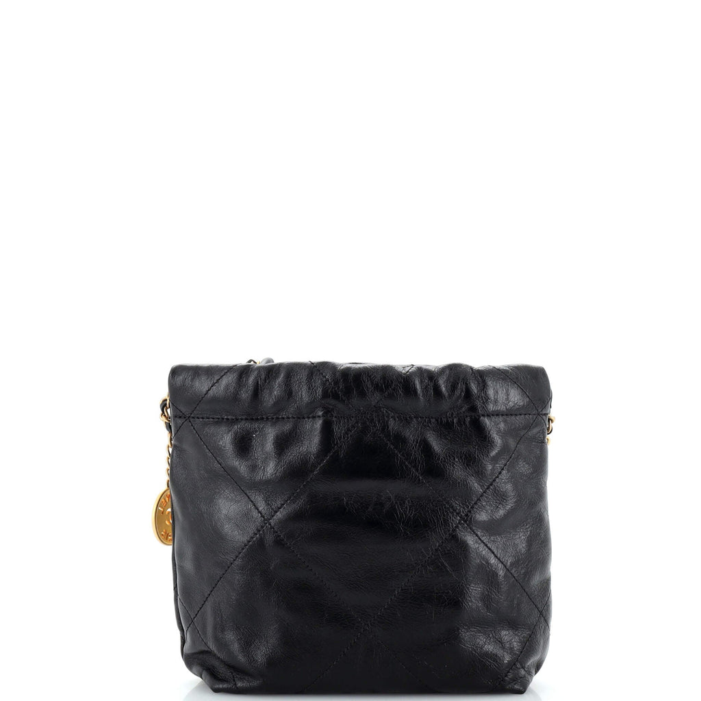 22 Chain Hobo Quilted Calfskin with Pearl Chain Mini