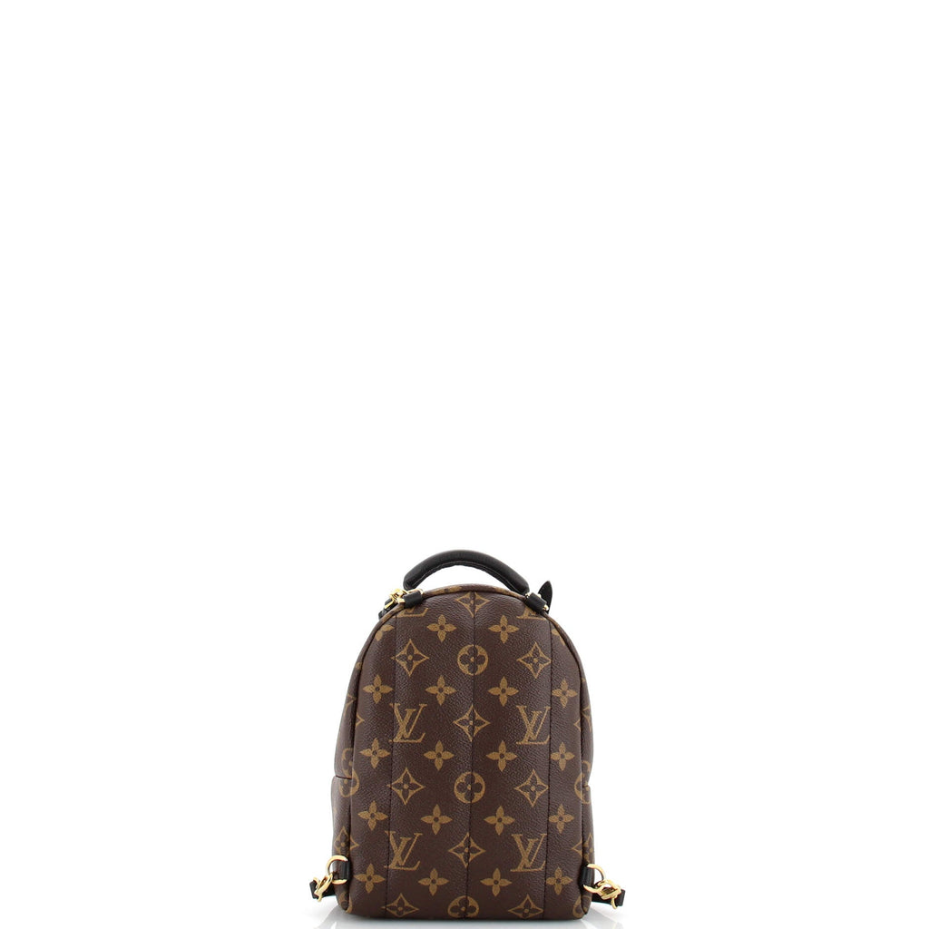 Palm Springs Backpack Monogram Canvas Mini