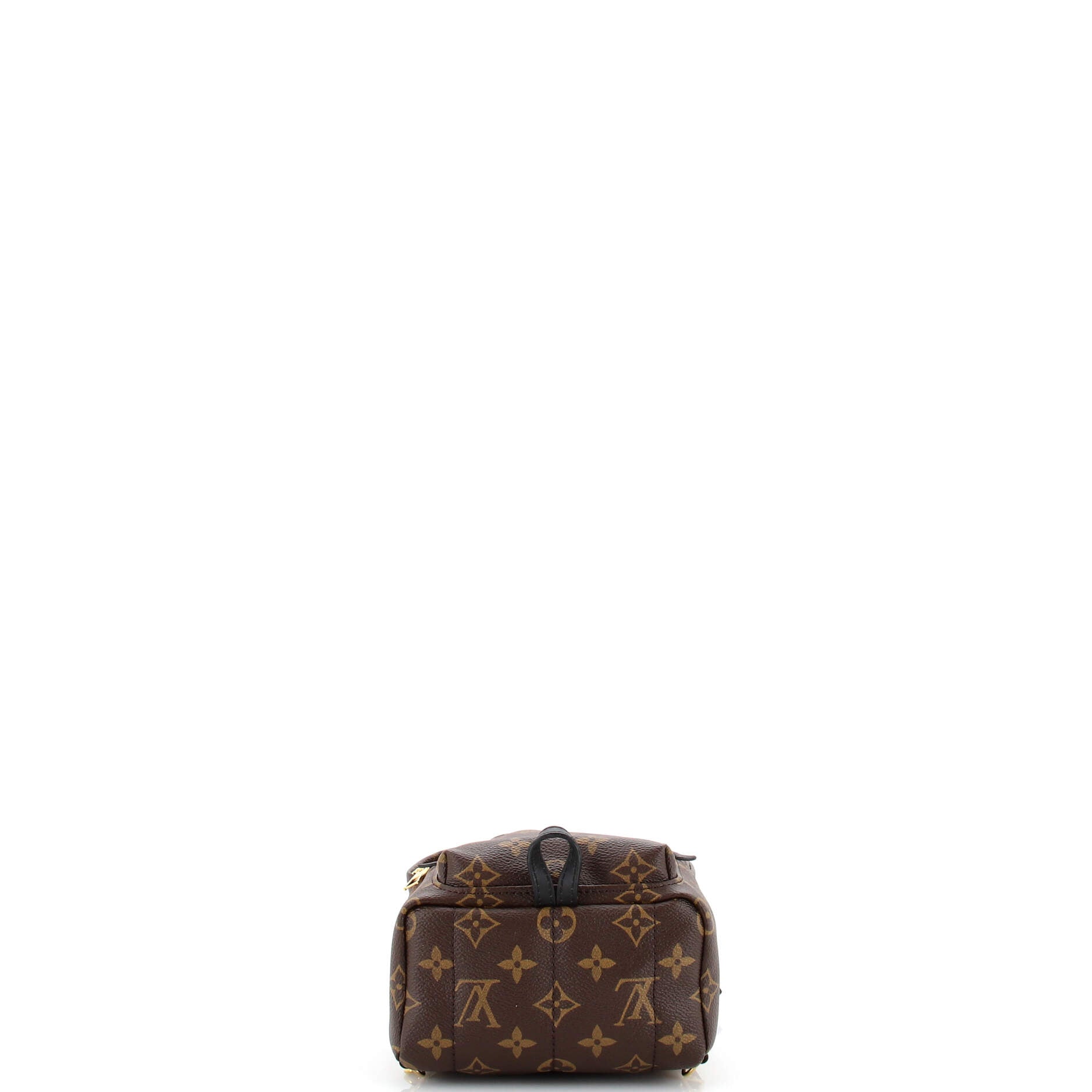 Palm Springs Backpack Monogram Canvas Mini
