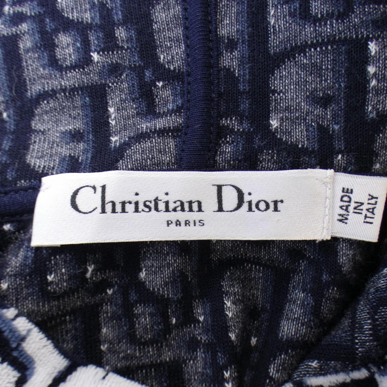 Christian Dior 113S06A4022 Hoodie