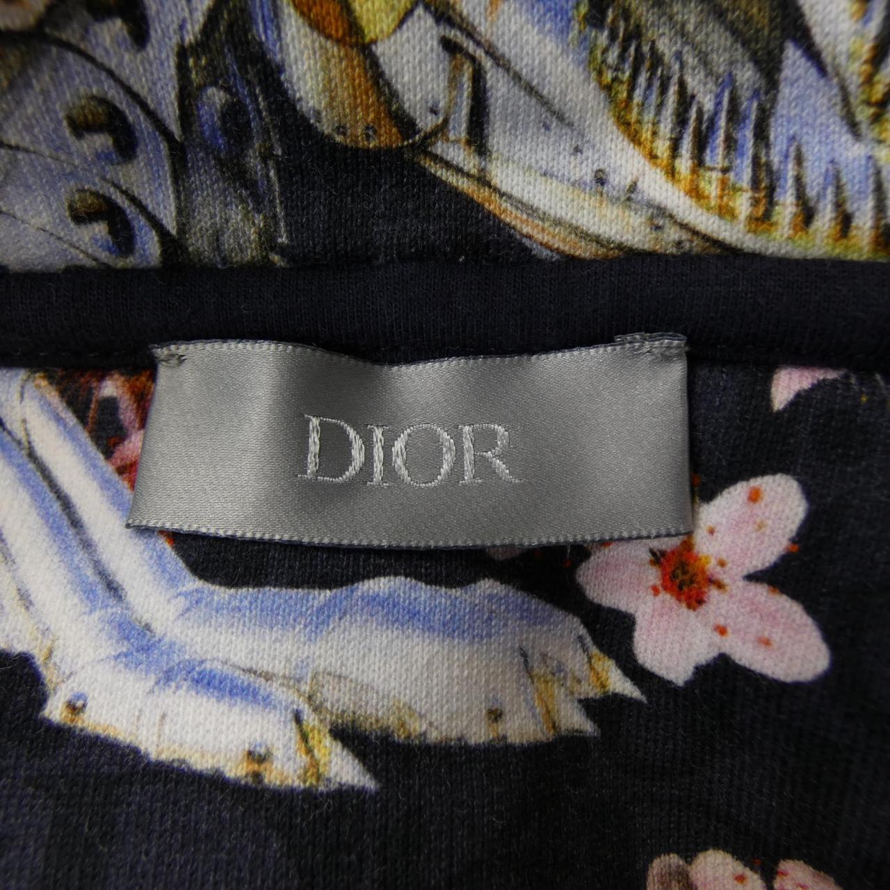 Dior 933J600A0574 Hoodie