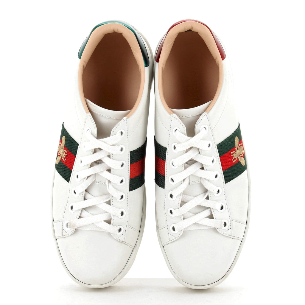 Women's Ace Web Platform Sneakers Leather