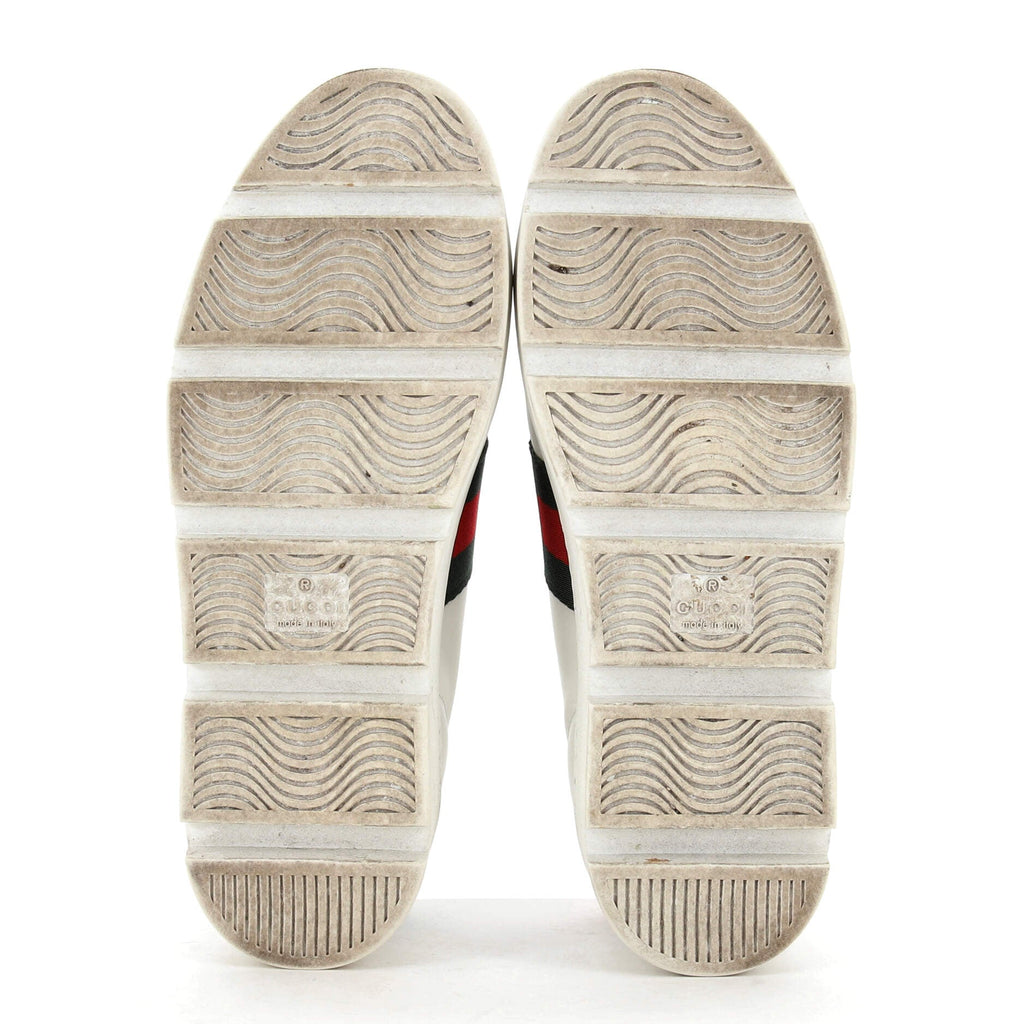 Women's Ace Web Platform Sneakers Leather