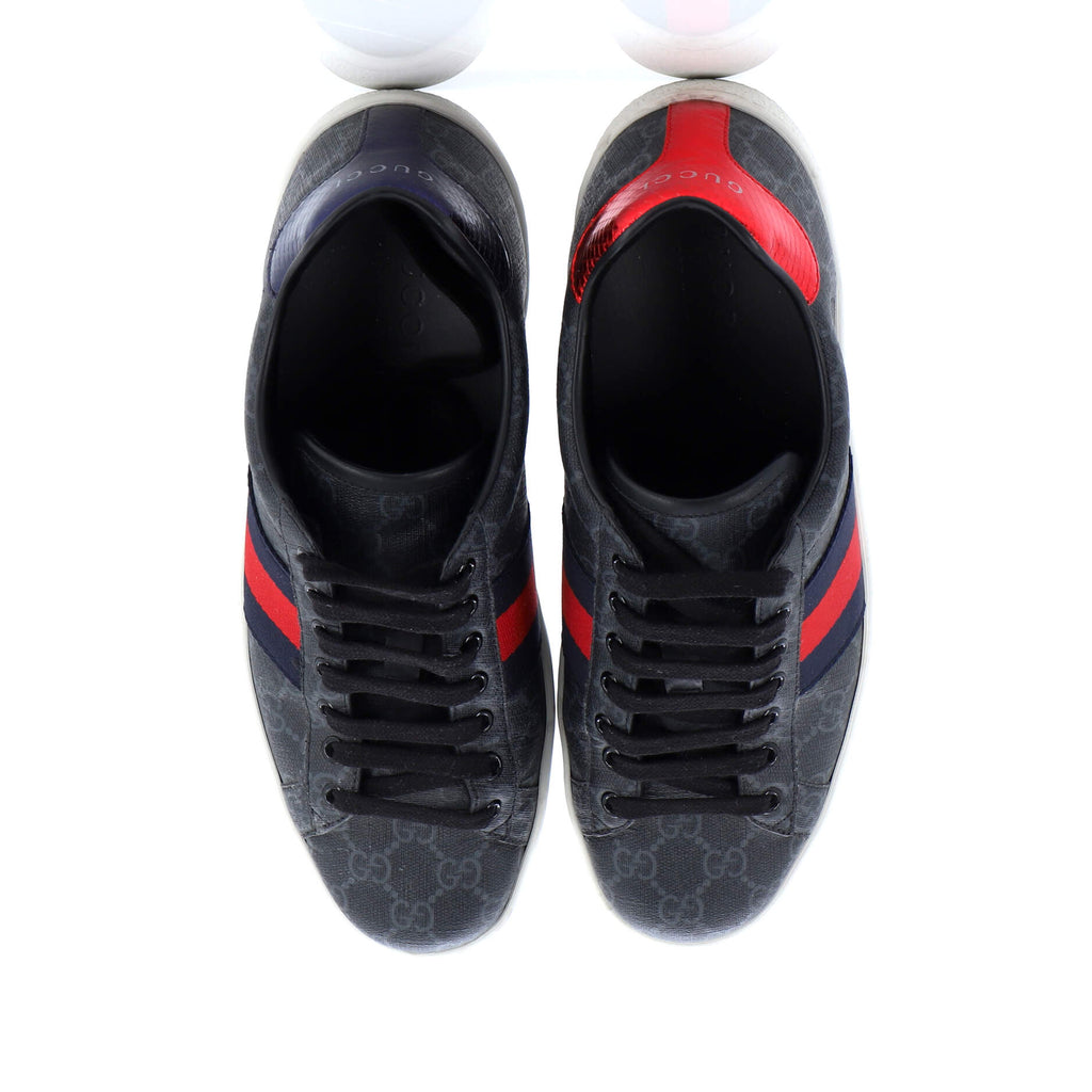 Ace Sneakers GG Coated Canvas