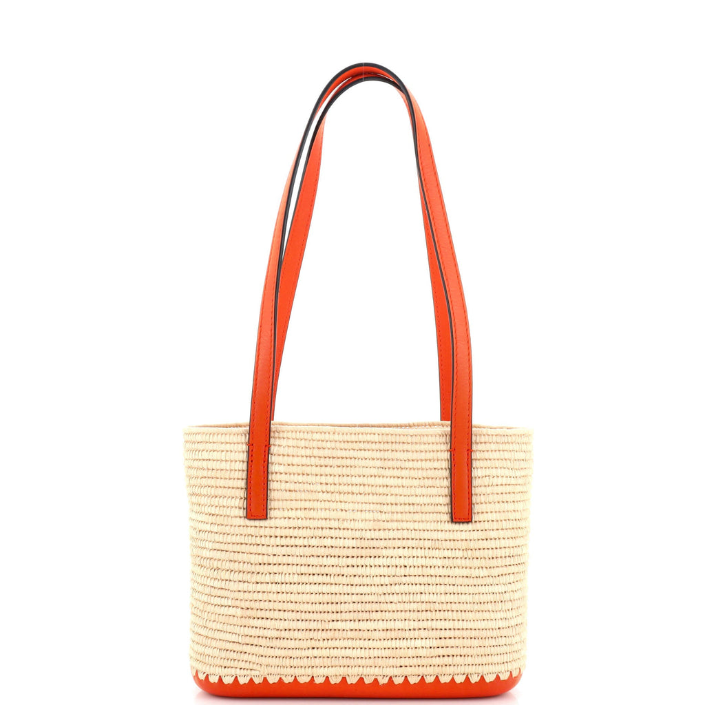 Square Basket Tote Woven Raffia and Leather Mini