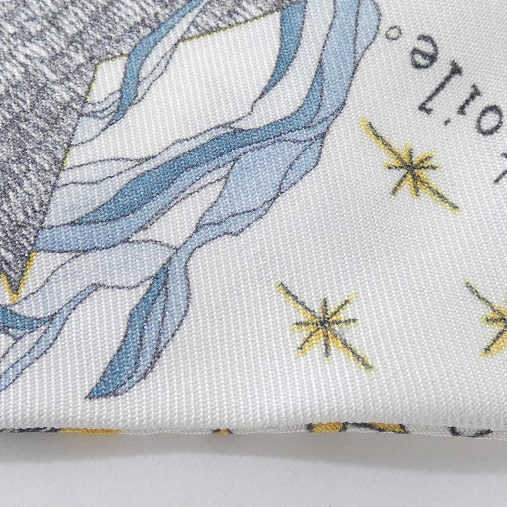 Christian Dior 76MTA106I640 Silk Scarf