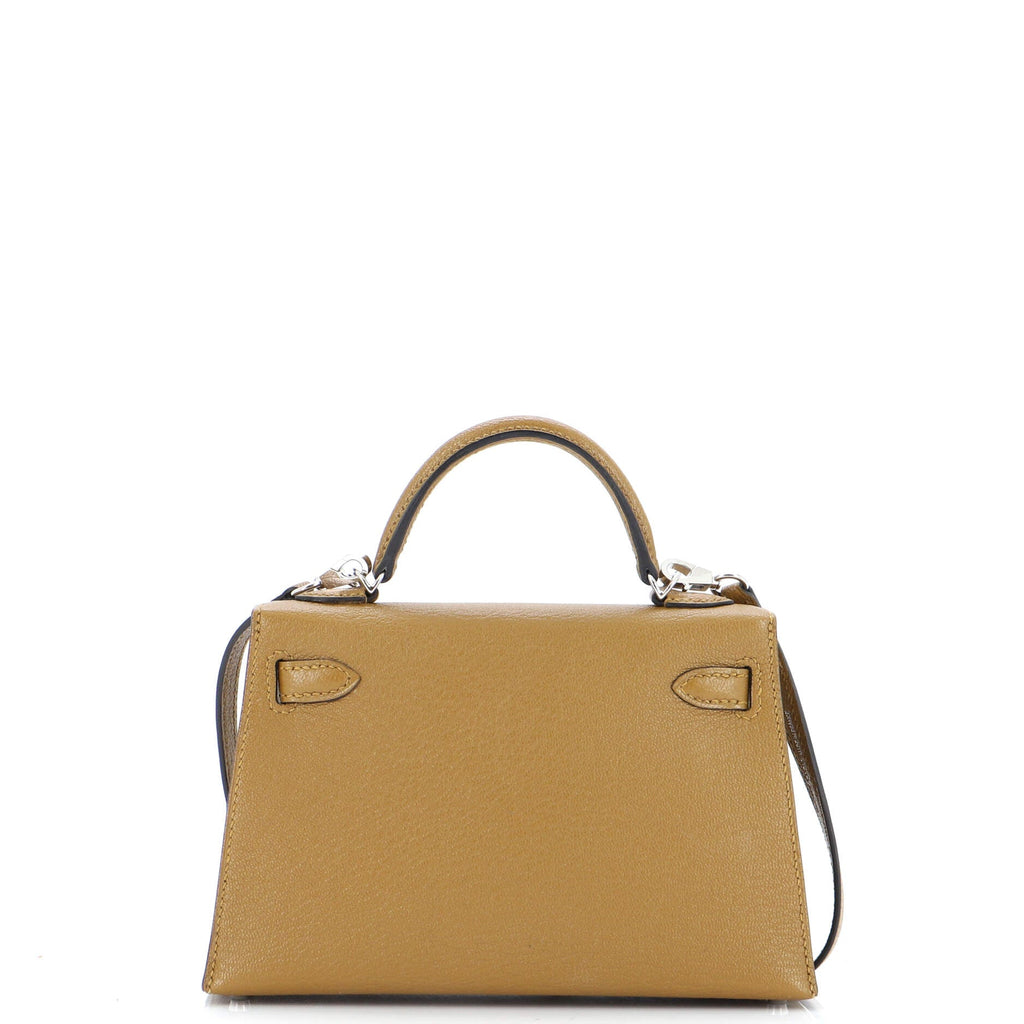Kelly Mini II Bag Verso Chevre Mysore with Palladium Hardware 20
