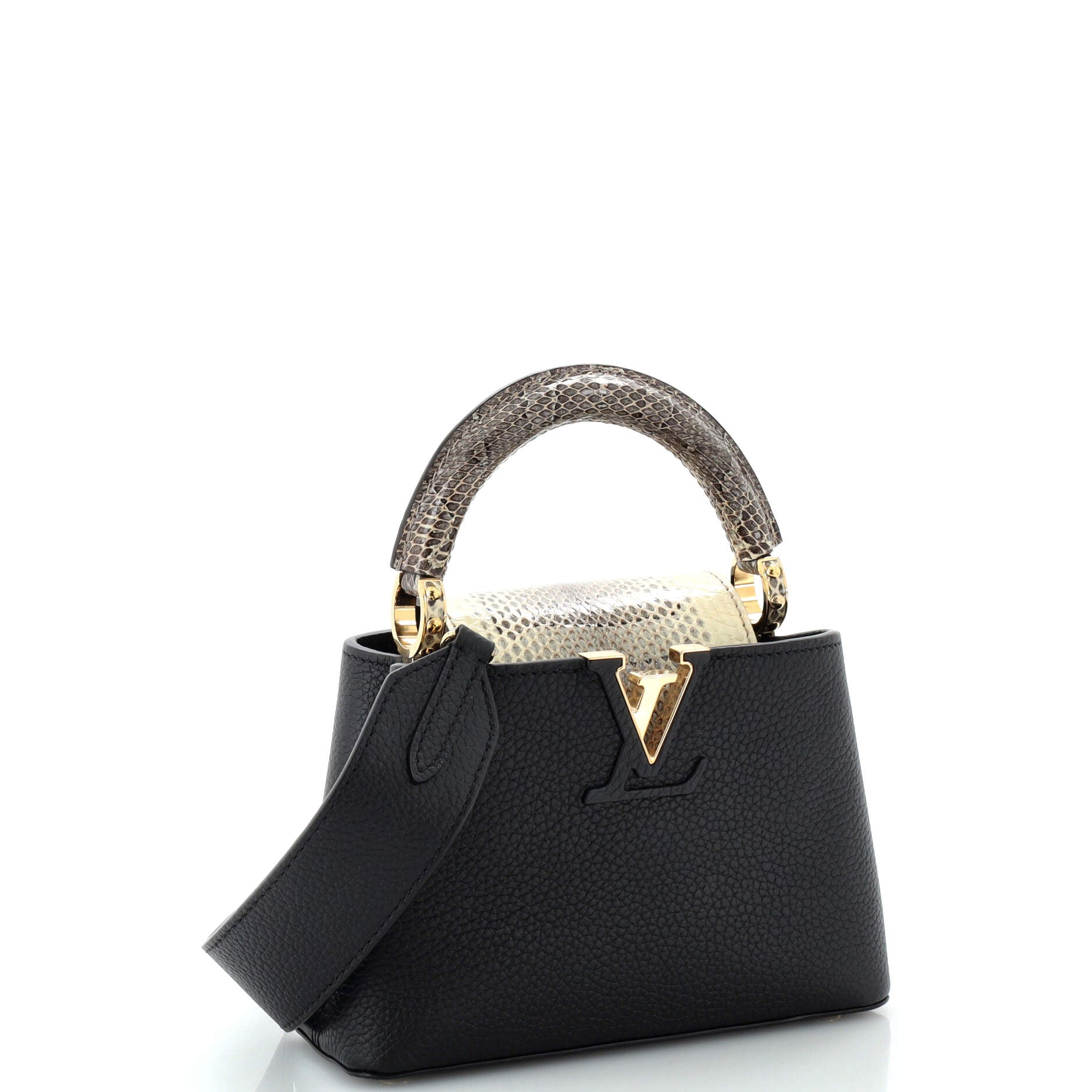 Capucines Bag Leather with Snakeskin Mini