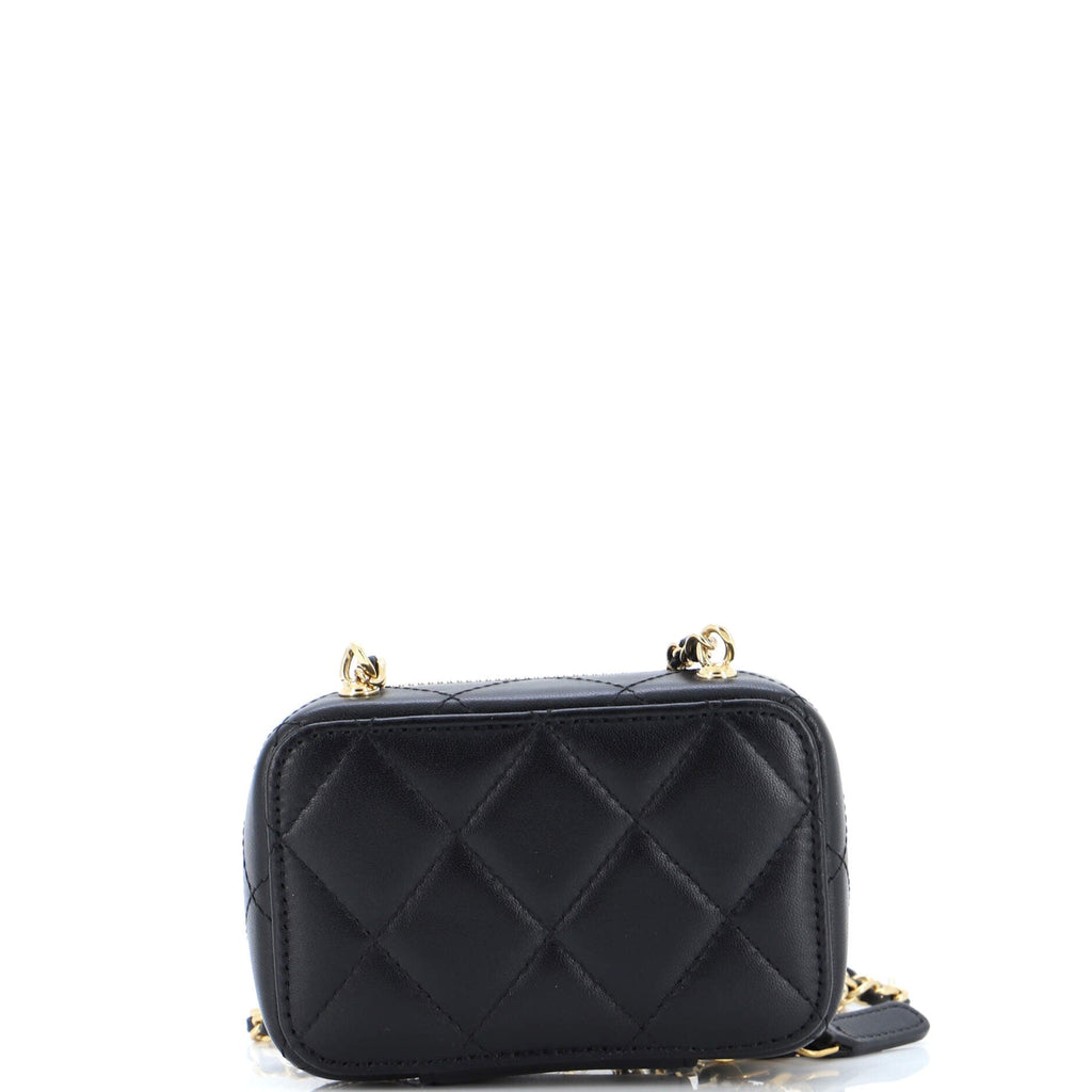 Golden Plate Zip Around Vanity Case with Chain Quilted Metal and Lambskin Extra Mini