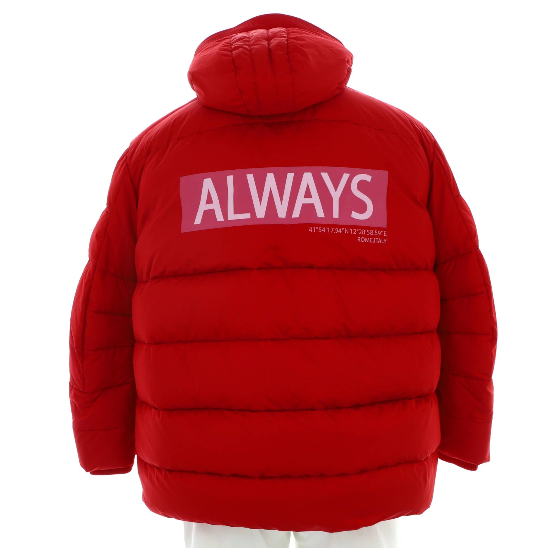 Men's Hooded Puffer Coat Polyamide with Down