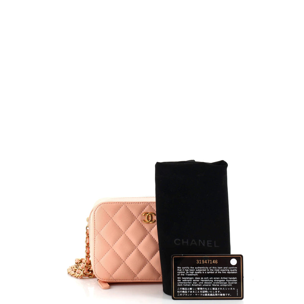 Pearl Crush Zip Around Vanity Case with Chain Quilted Lambskin Mini