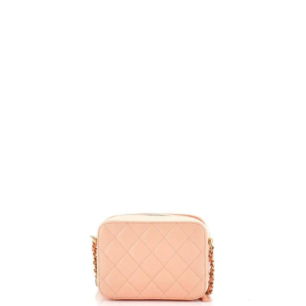 Pearl Crush Zip Around Vanity Case with Chain Quilted Lambskin Mini