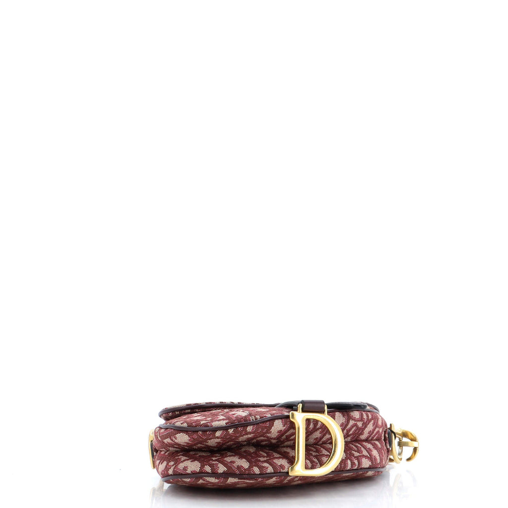 Saddle Handbag Oblique Canvas Mini