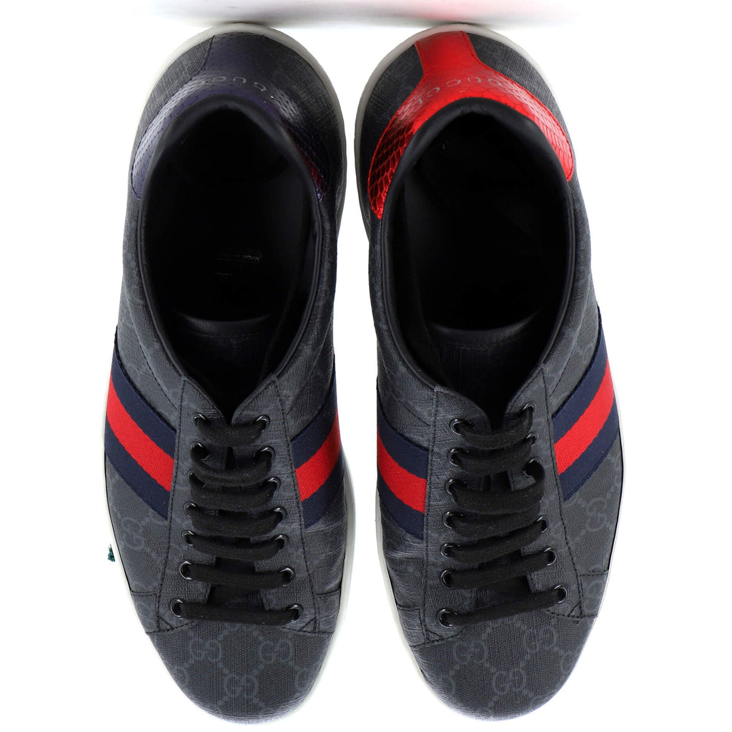 Ace Sneakers GG Coated Canvas