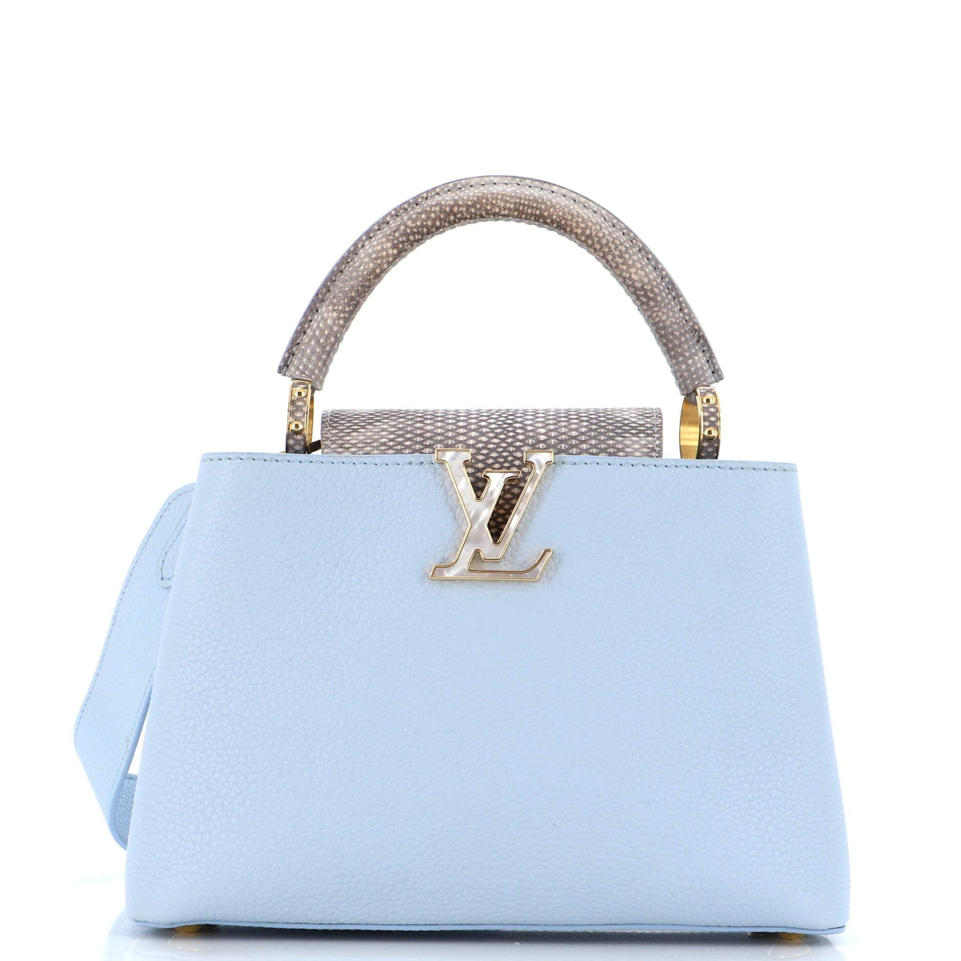 Capucines Bag Leather with Snakeskin Mini