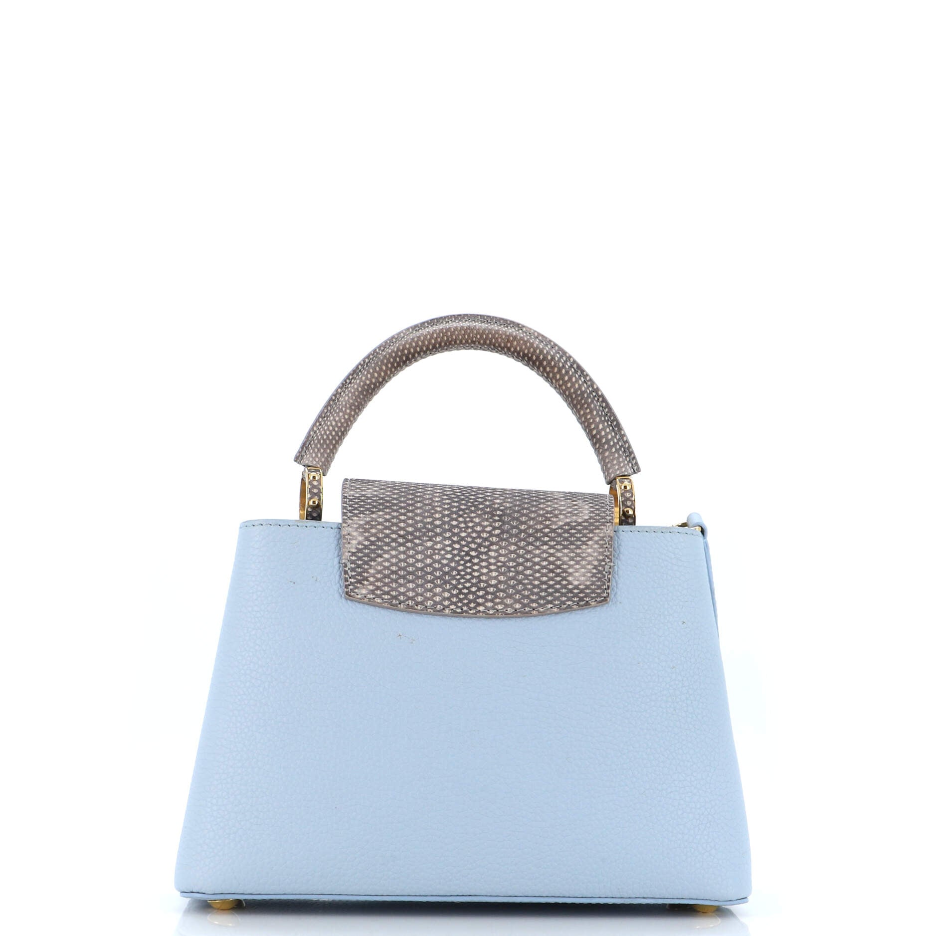 Capucines Bag Leather with Snakeskin Mini