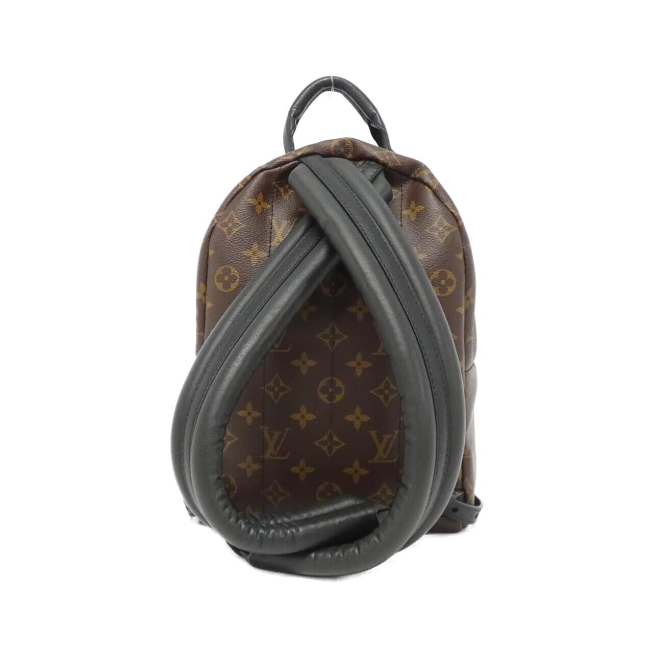 Louis Vuitton Palm Springs Monogram Backpack