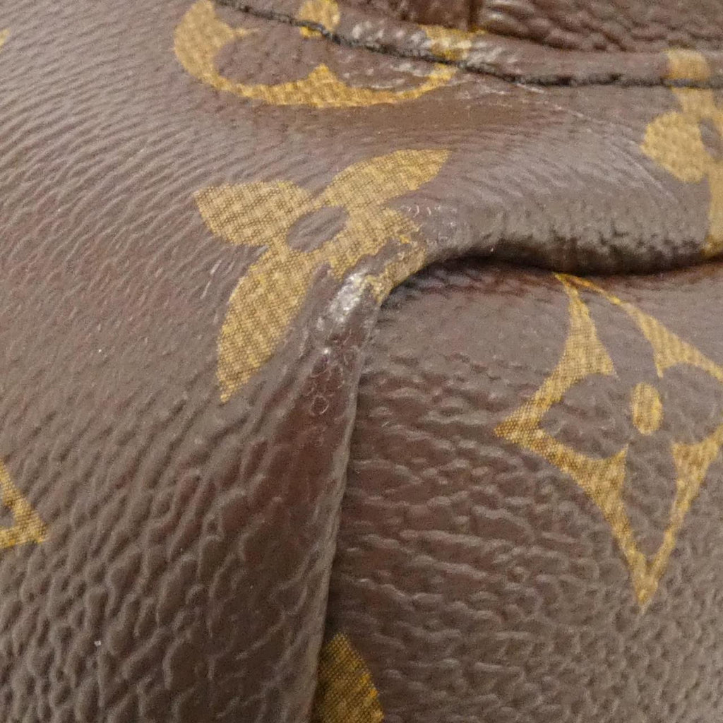 Louis Vuitton Palm Springs Monogram Backpack