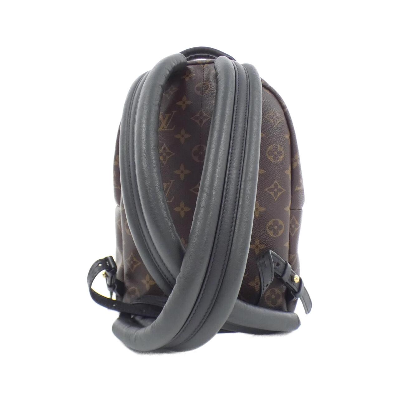 Louis Vuitton Palm Springs Monogram Backpack
