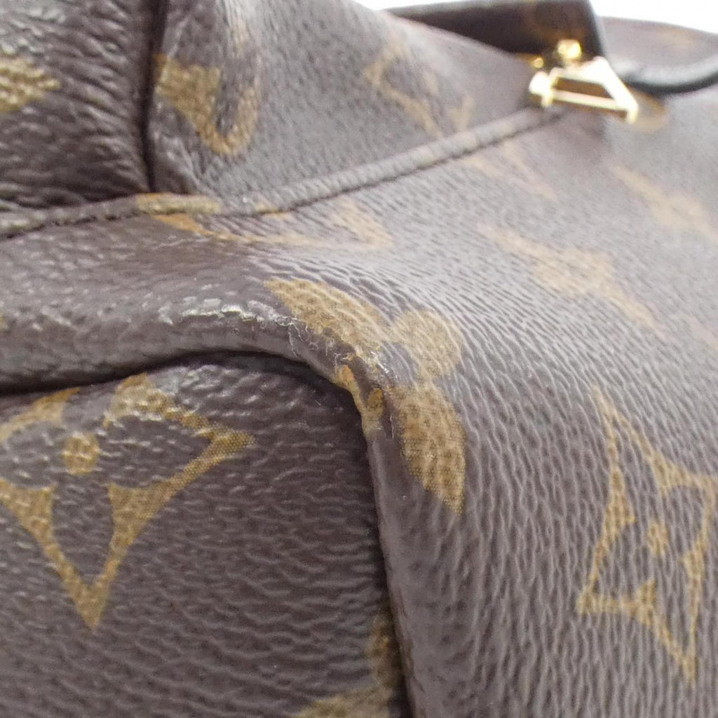 Louis Vuitton Palm Springs Monogram Backpack