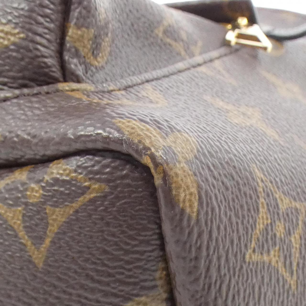 Louis Vuitton Palm Springs Monogram Backpack