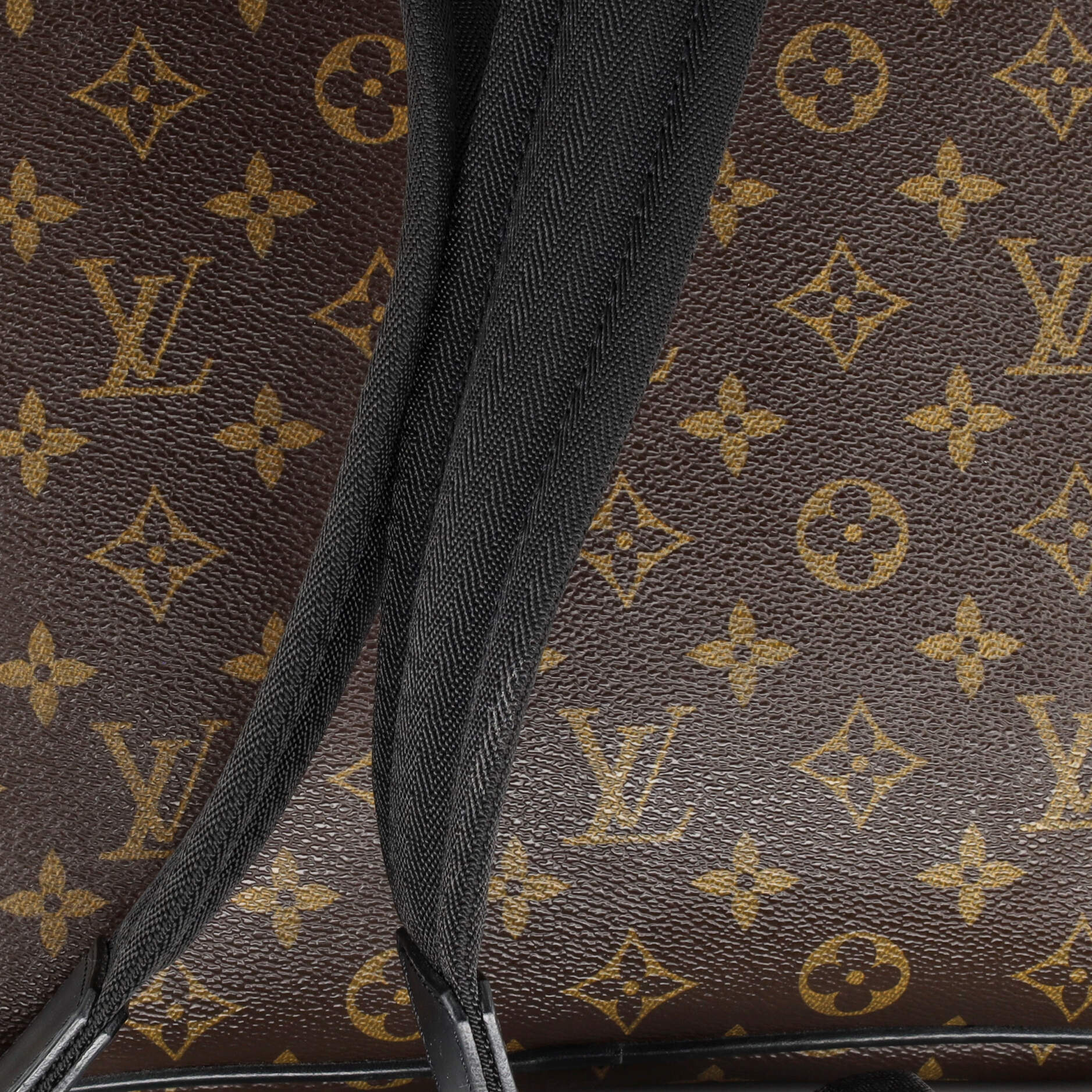 Louis Vuitton Palk Backpack Macassar Monogram Canvas