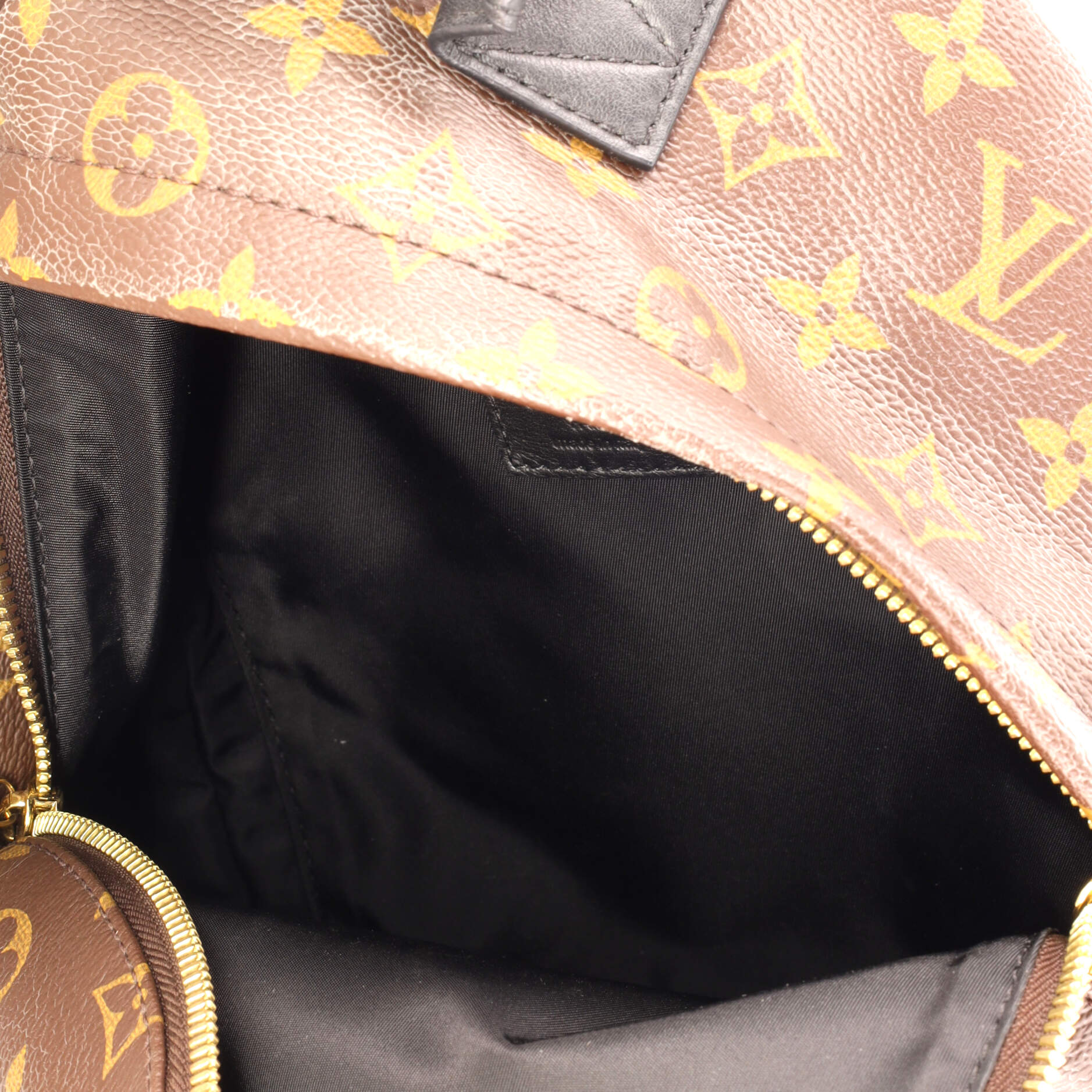 Louis Vuitton Palm Springs Backpack Monogram Canvas PM