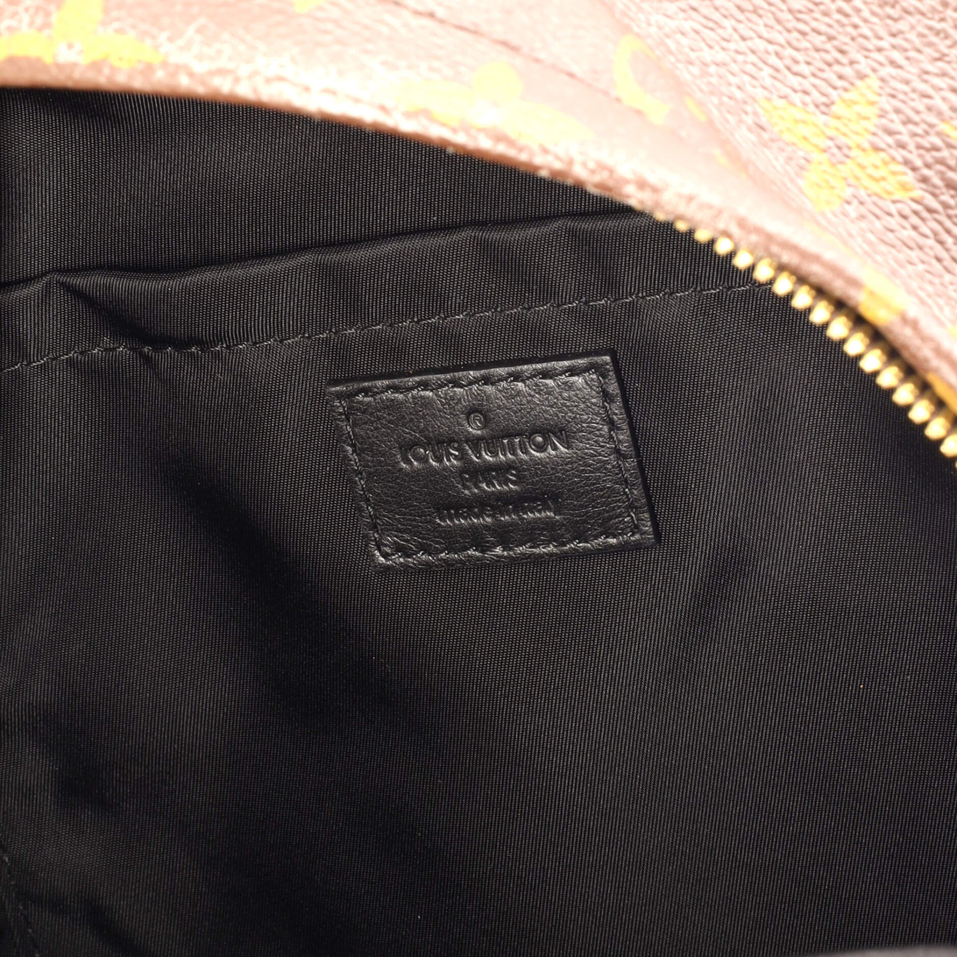Louis Vuitton Palm Springs Backpack Monogram Canvas PM