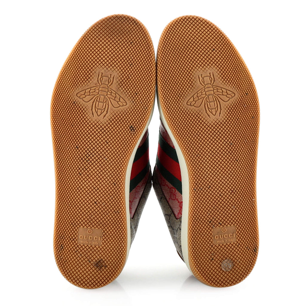 Screener Sneakers GG Canvas