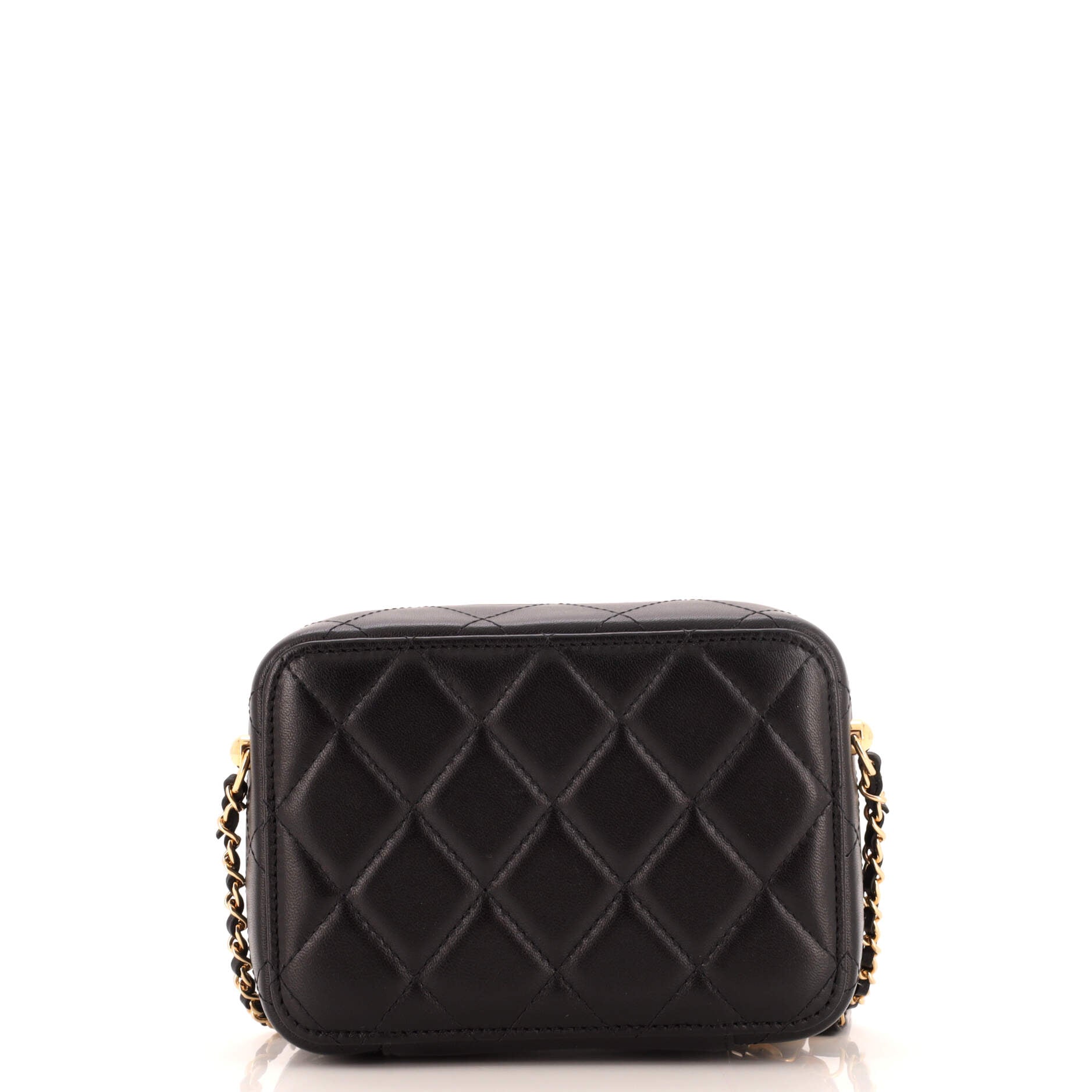 Golden Plate Zip Around Vanity Case with Chain Quilted Metal and Lambskin Mini