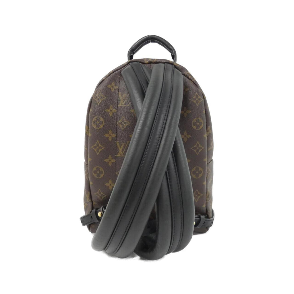 Louis Vuitton Palm Springs Monogram Backpack