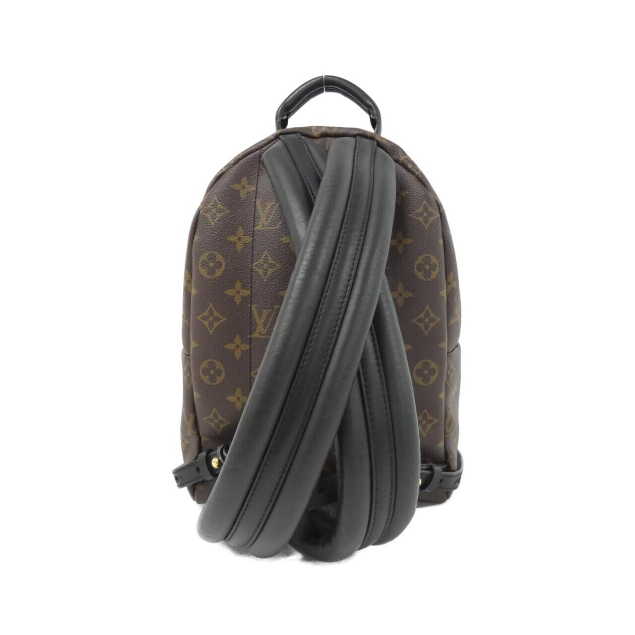 Louis Vuitton Palm Springs Monogram Backpack