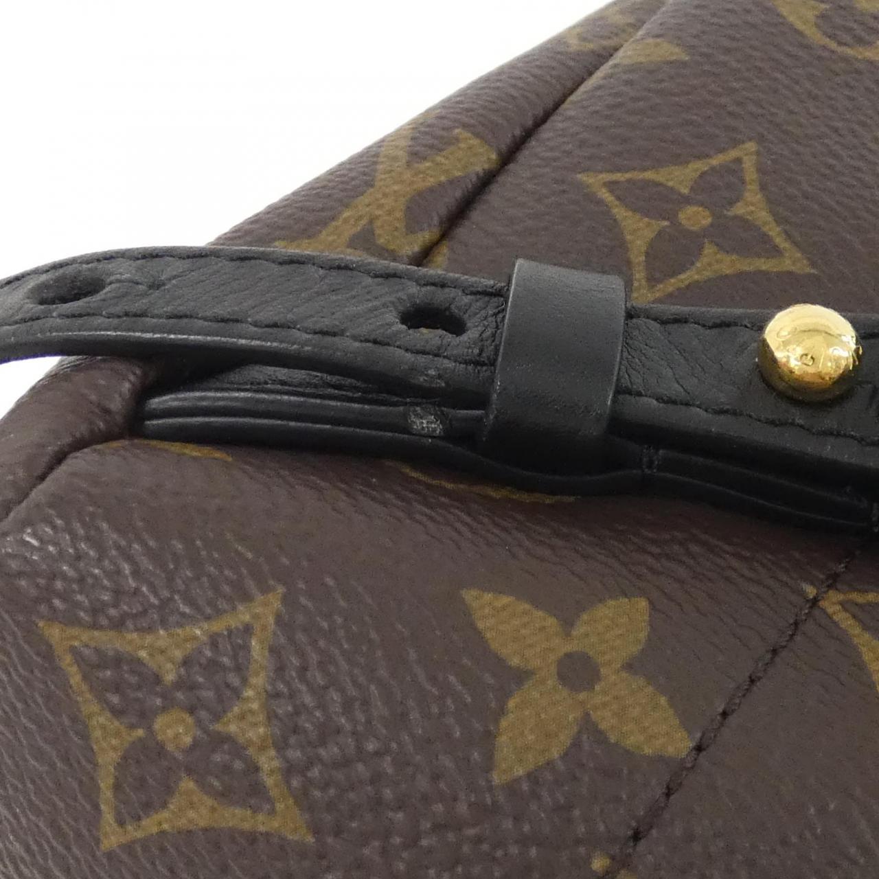 Louis Vuitton Palm Springs Monogram Backpack