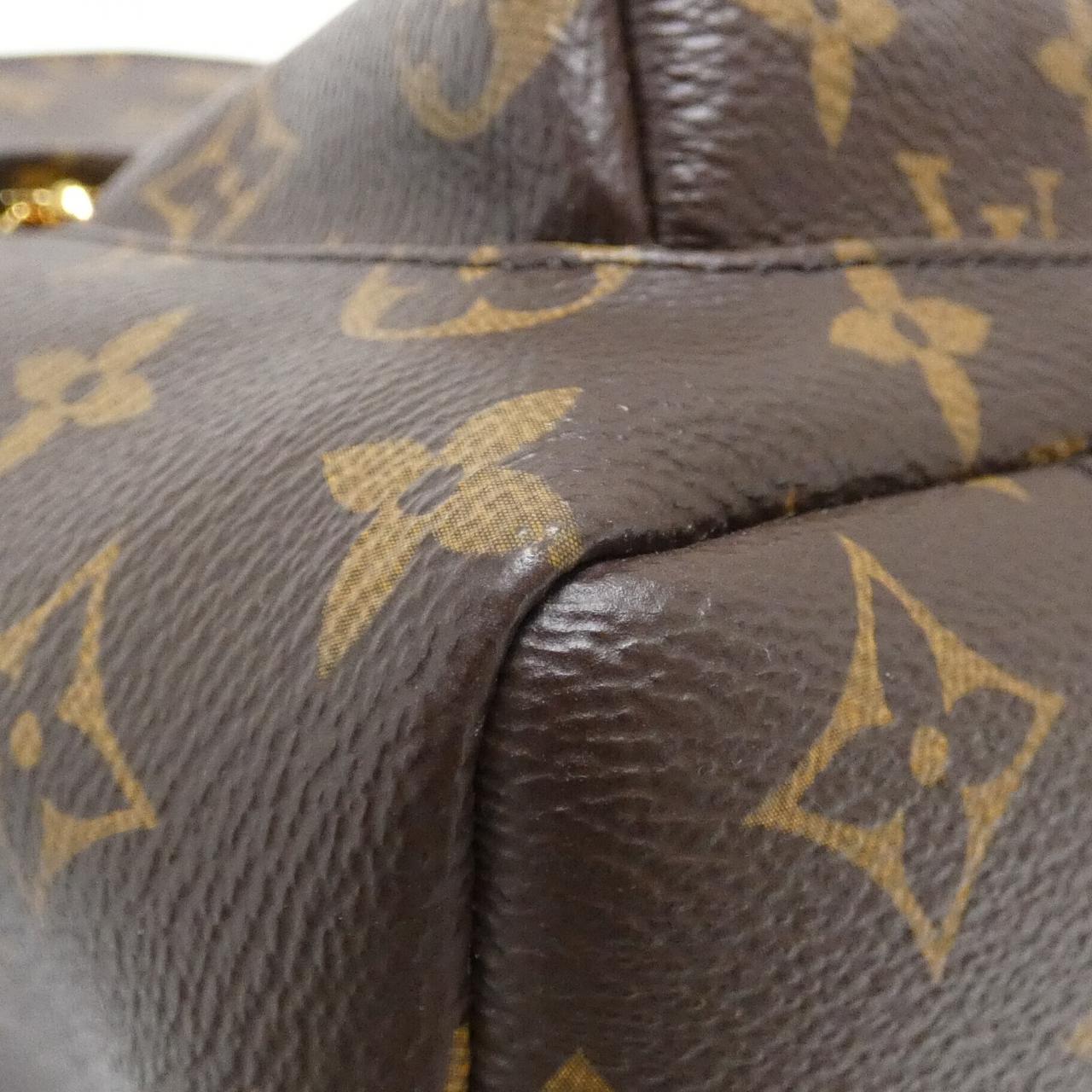 Louis Vuitton Palm Springs Backpack Monogram Backpack