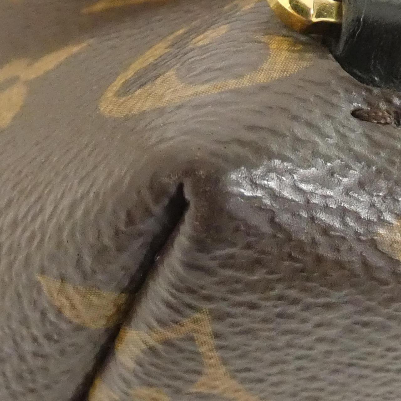 Louis Vuitton Monogram Coated Canvas Backpack