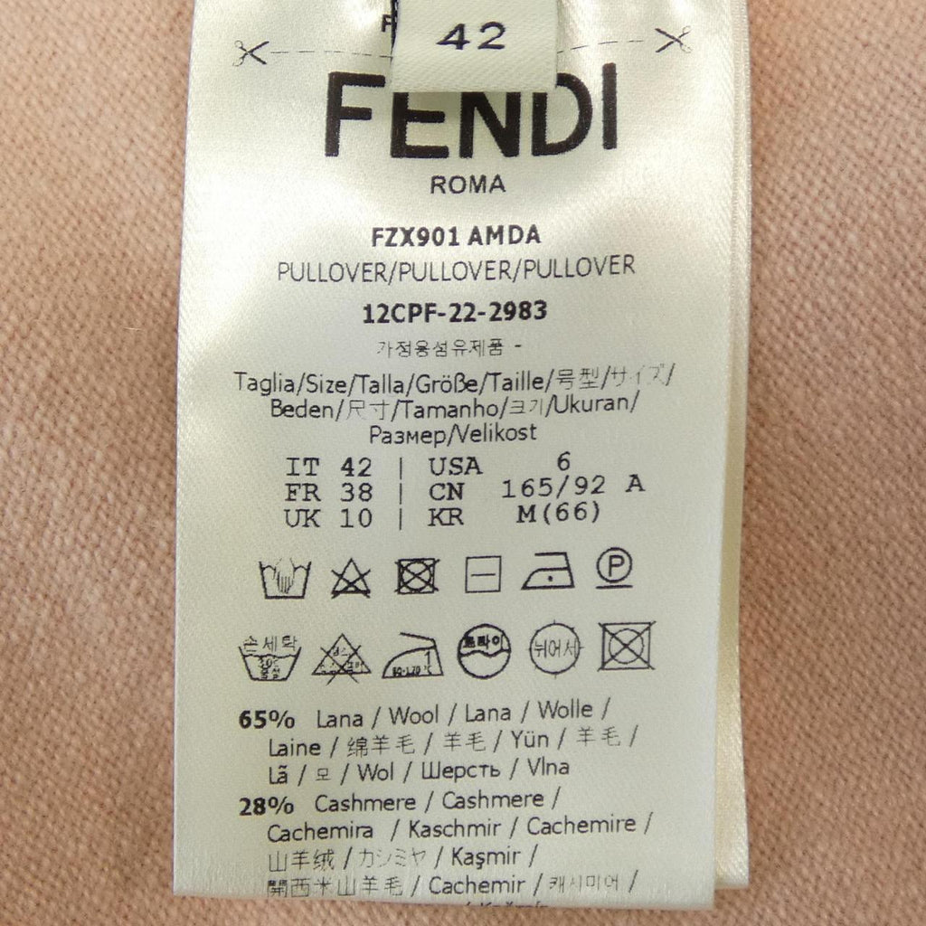 Fendi FZX901 AMDA Cashmere Ensemble