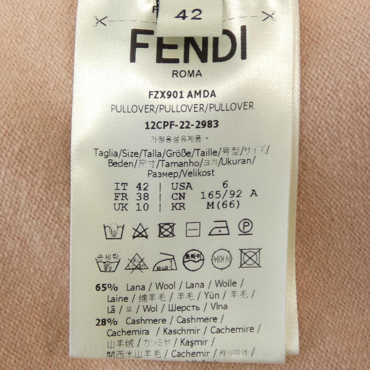 Fendi FZX901 AMDA Cashmere Ensemble