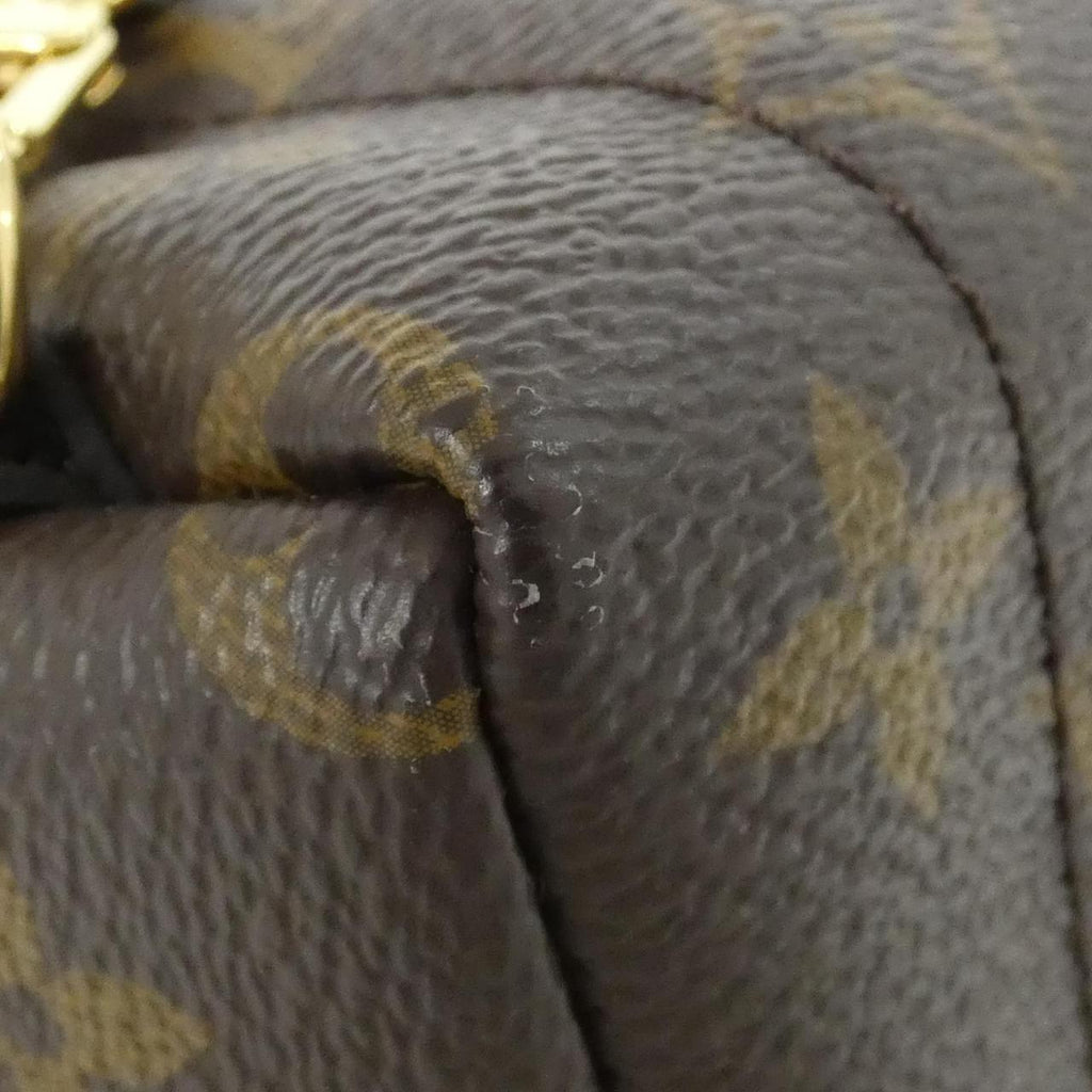 Louis Vuitton Palm Springs Monogram Backpack