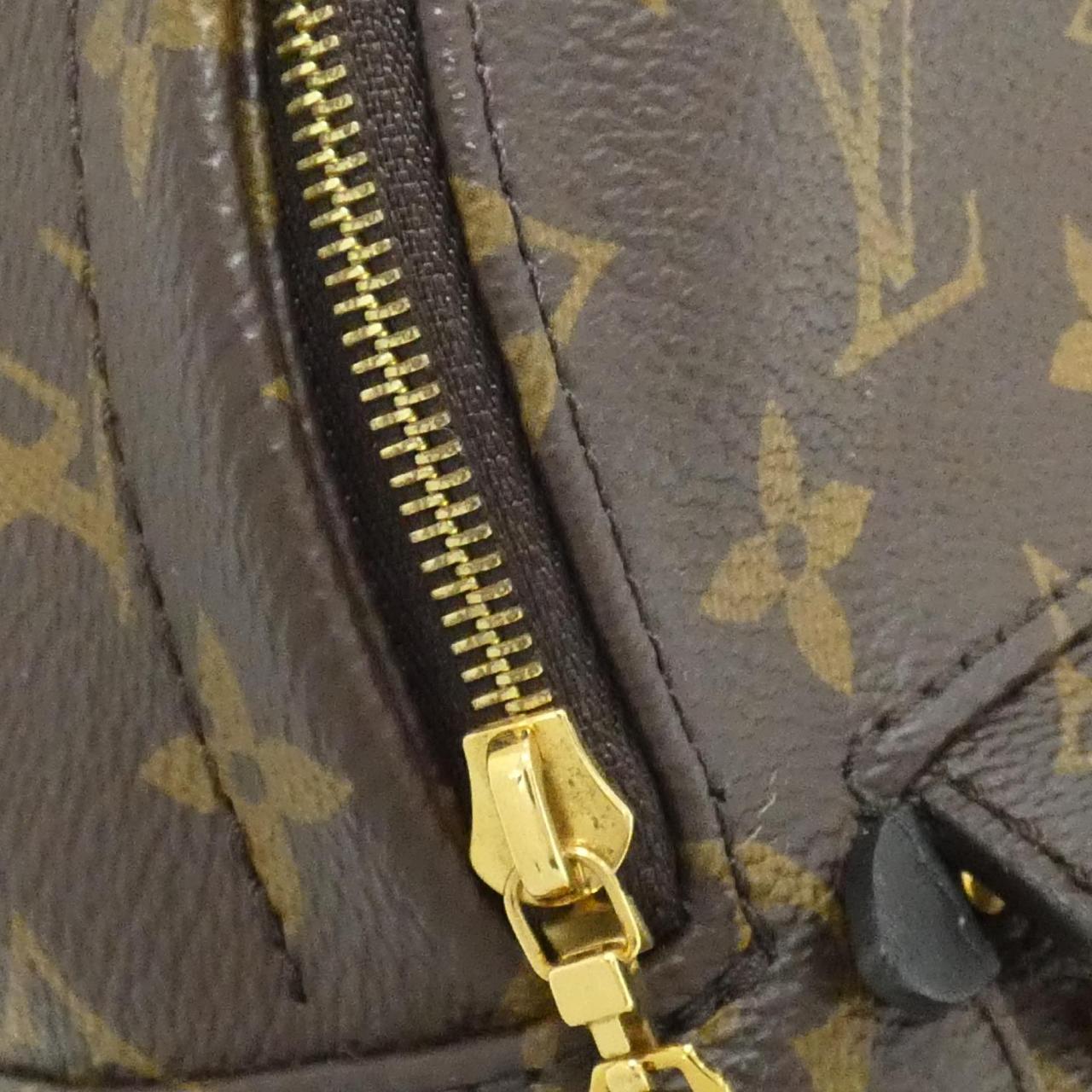 Louis Vuitton Palm Springs Monogram Backpack