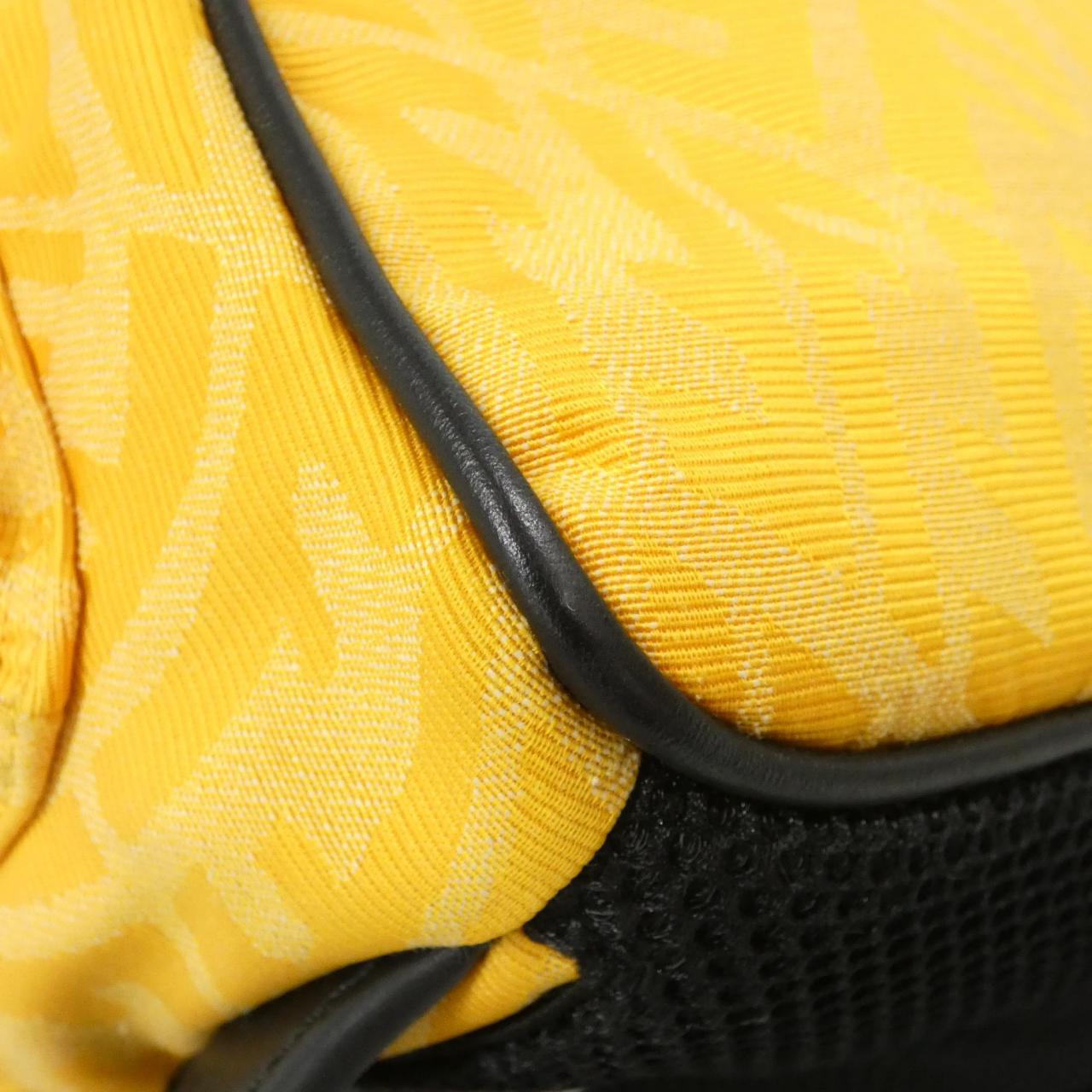 Fendi Fendi Strike Large Canvas Leather Backpack