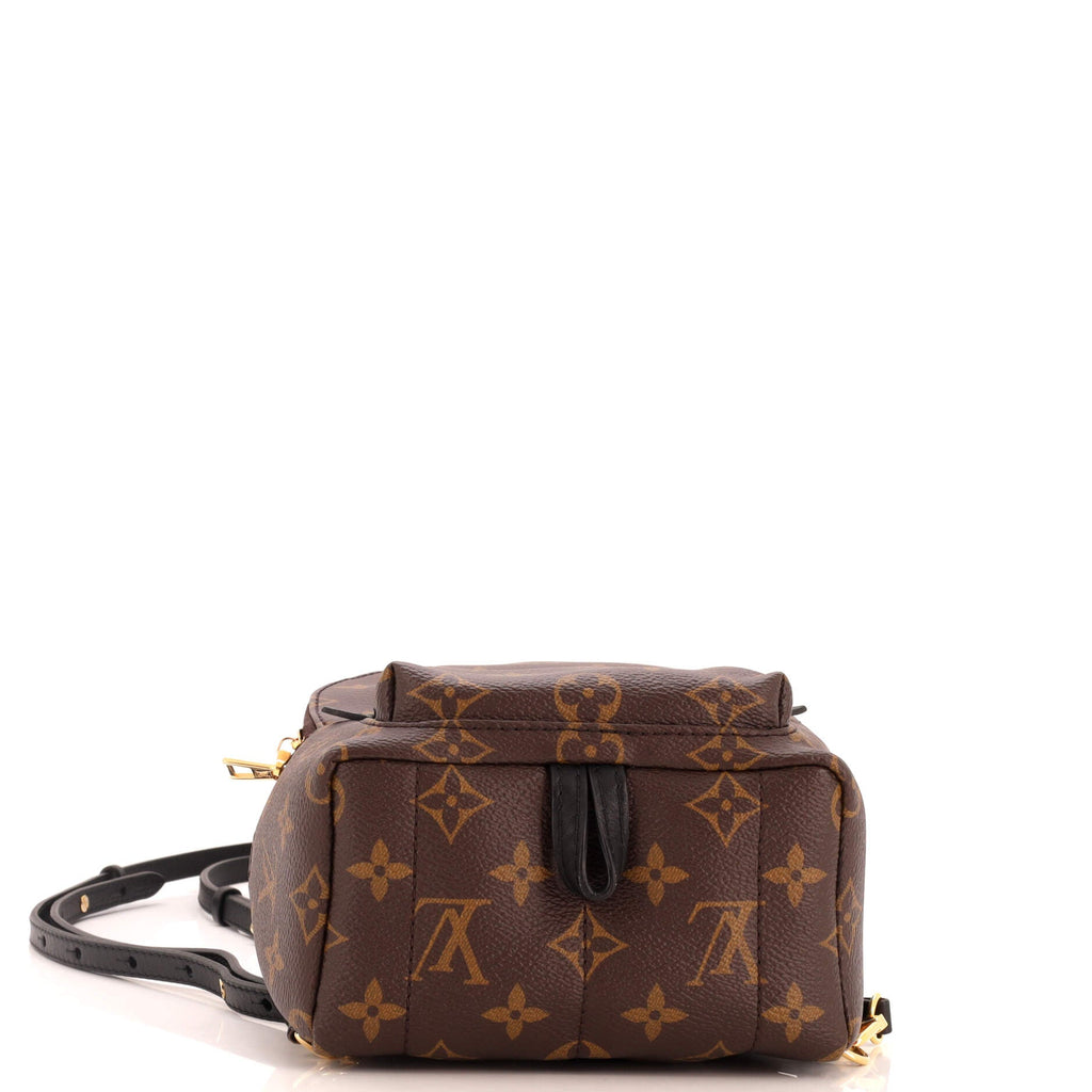 Palm Springs Backpack Monogram Canvas Mini