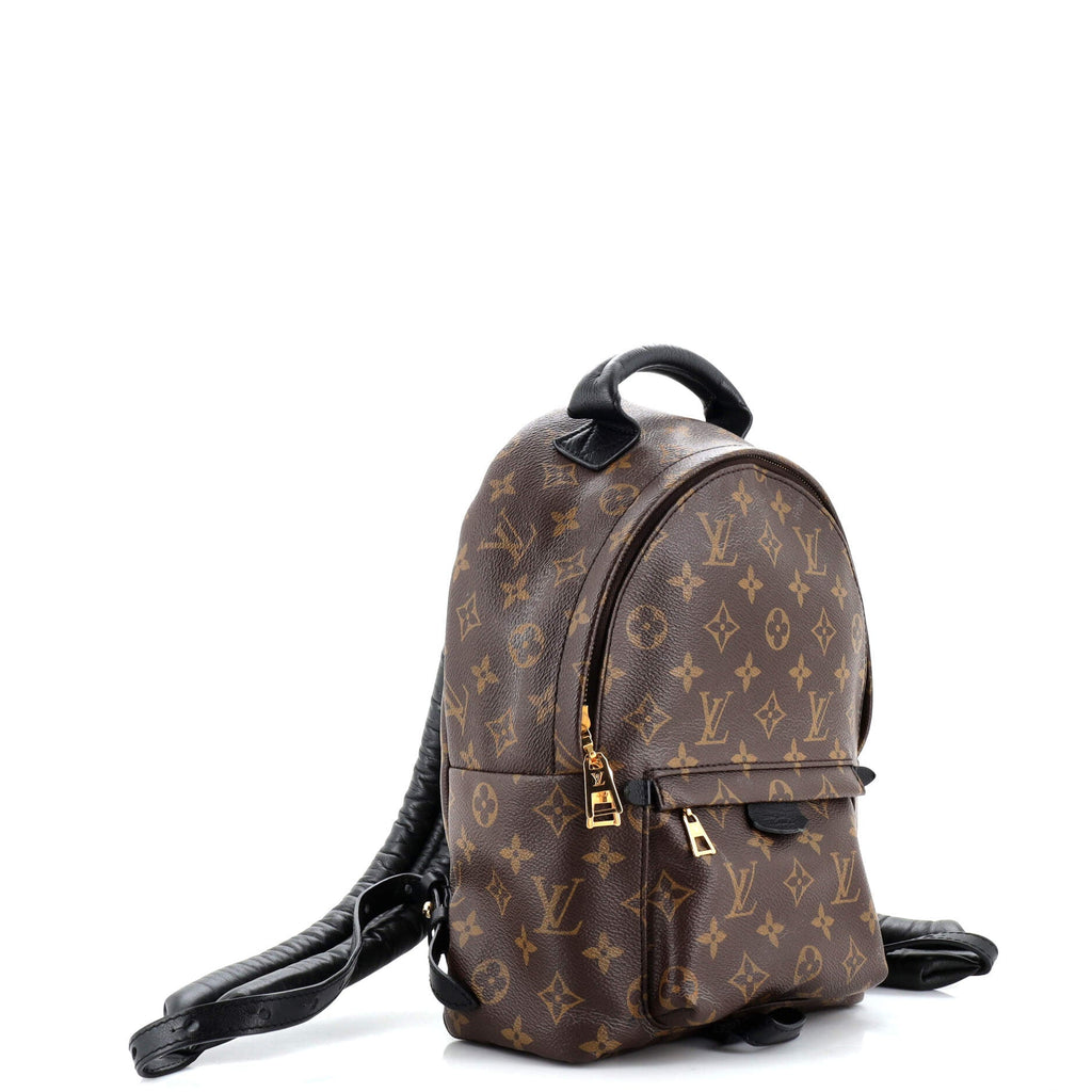 Louis Vuitton Palm Springs Backpack Monogram Canvas PM