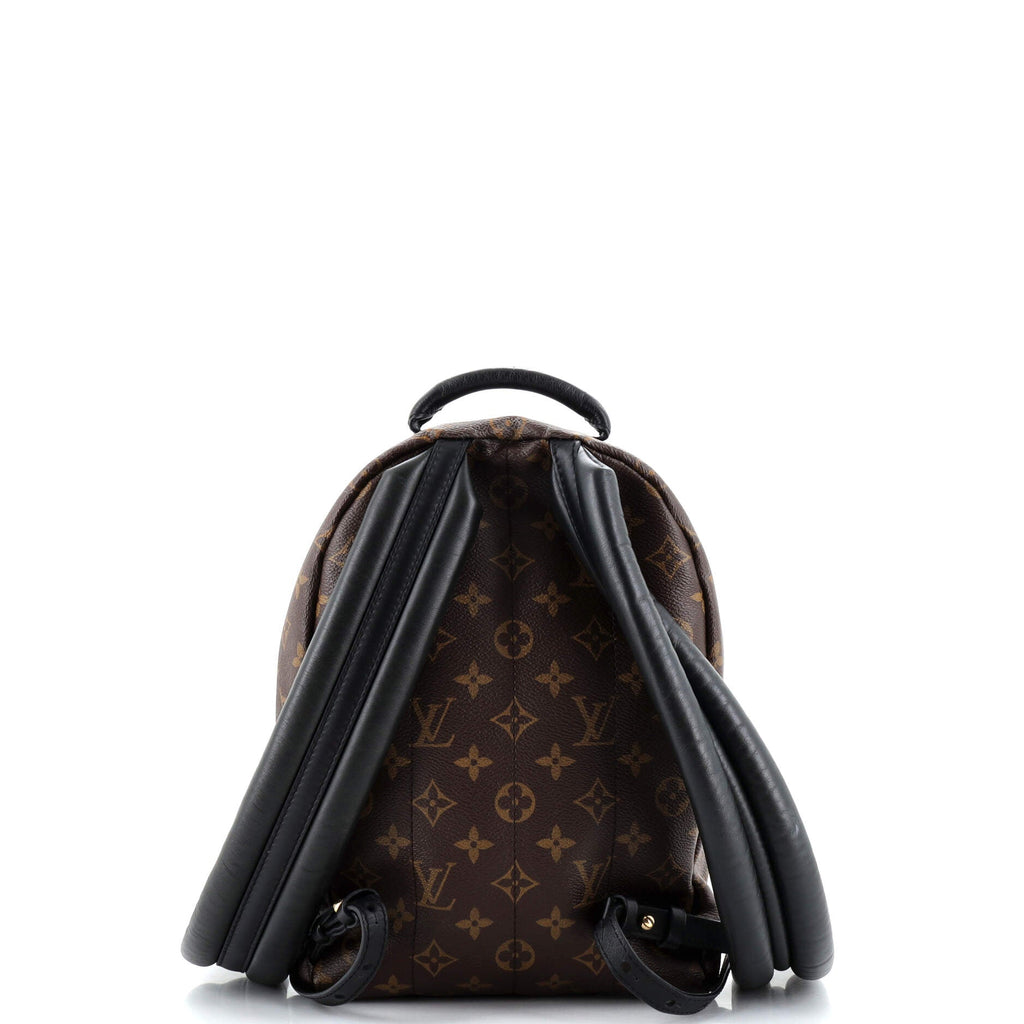 Louis Vuitton Palm Springs Backpack Monogram Canvas PM
