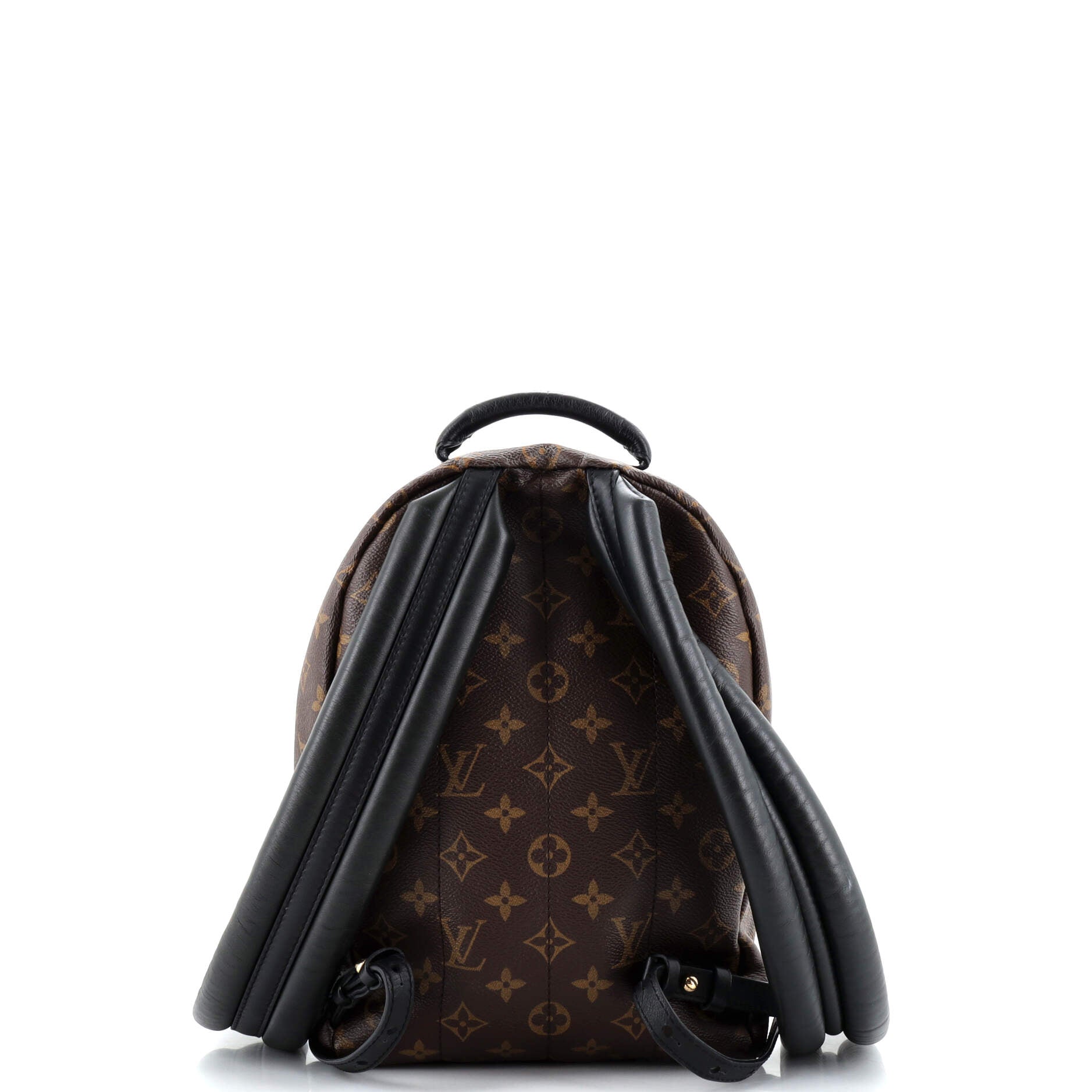 Louis Vuitton Palm Springs Backpack Monogram Canvas PM