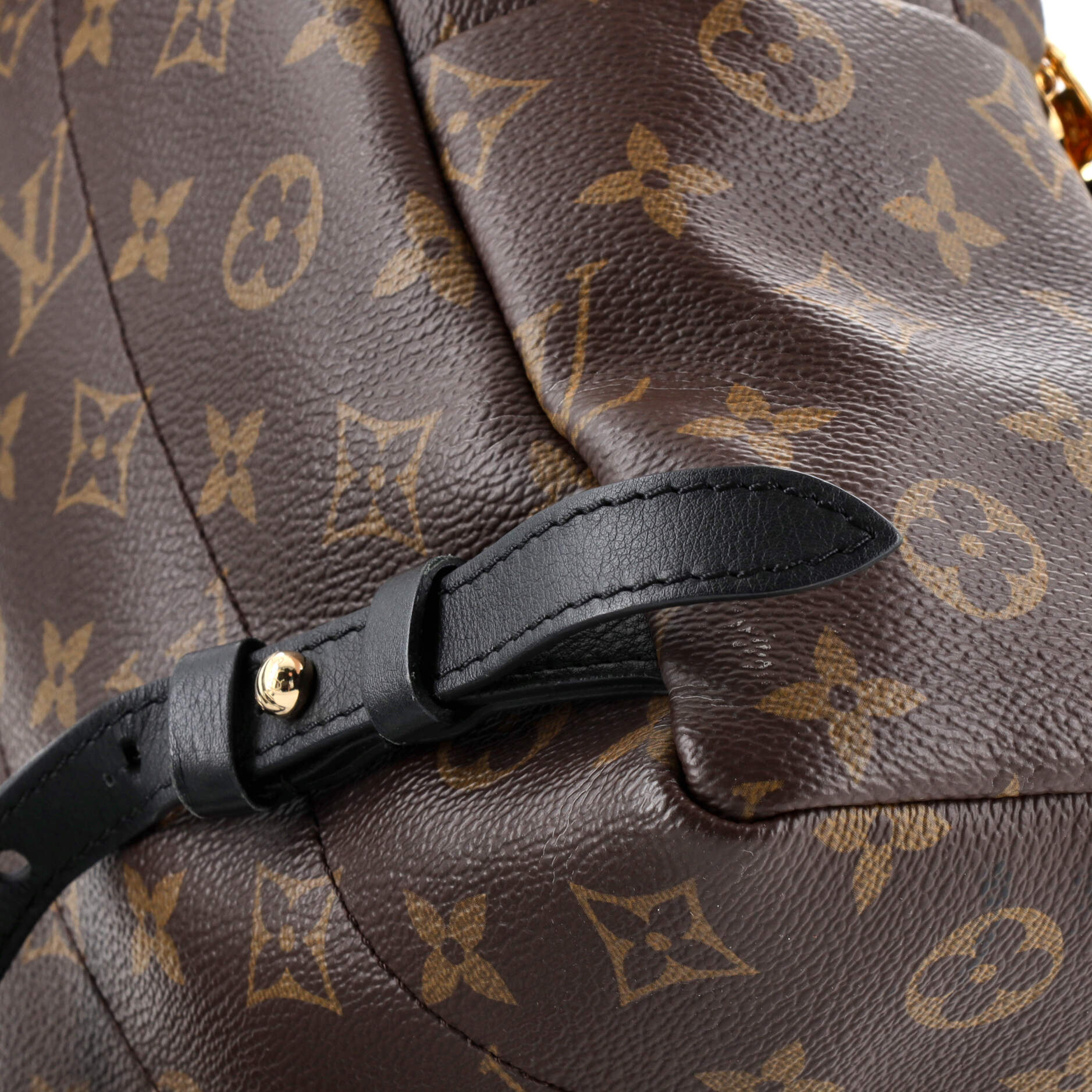 Louis Vuitton Palm Springs Backpack Monogram Canvas PM