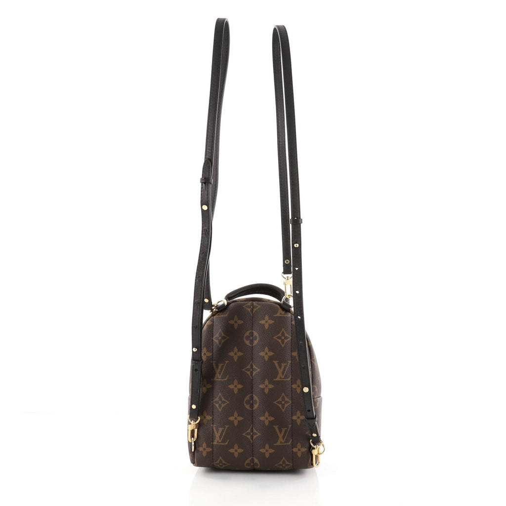 Palm Springs Backpack Monogram Canvas Mini