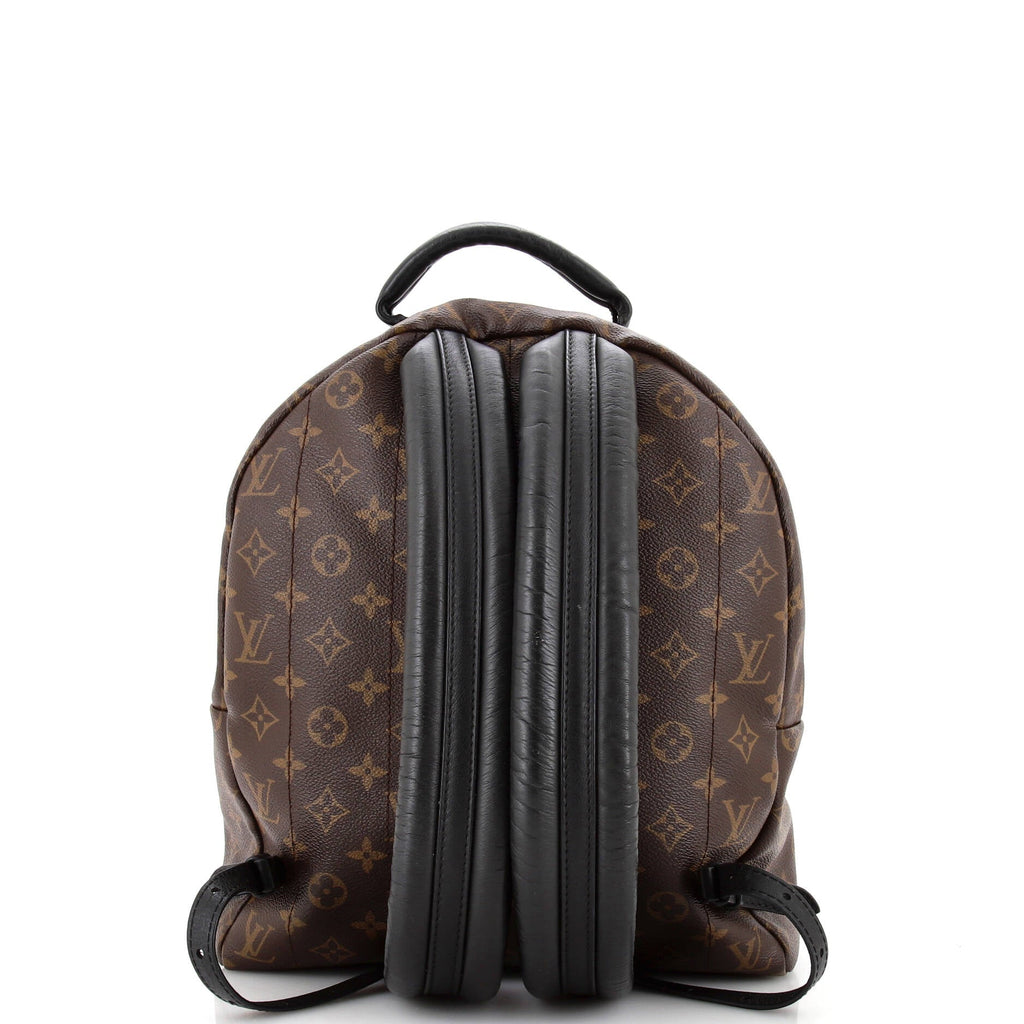 Louis Vuitton Palm Springs Backpack Monogram Canvas MM