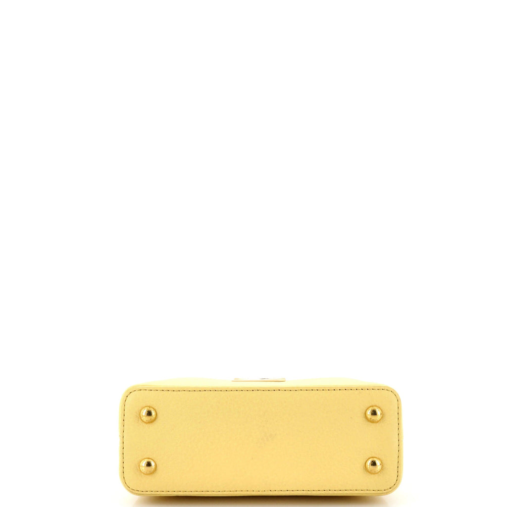 Capucines Resin Chain Bag Leather Mini