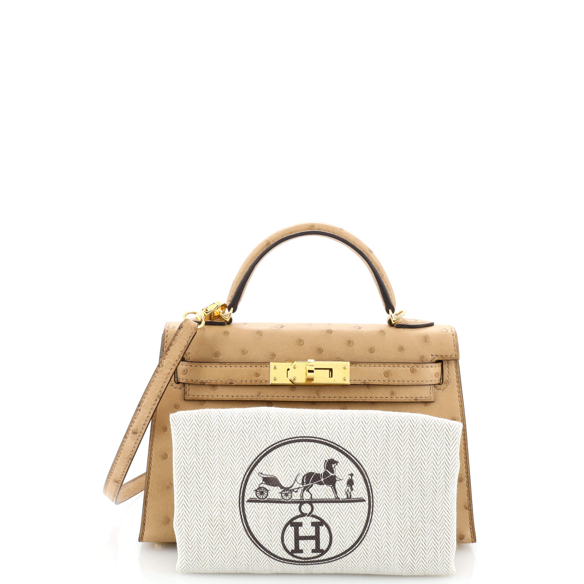 Kelly Mini II Bag Chai Ostrich with Gold Hardware 20